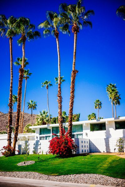 Palm Springs Midcentury Home Tour The Taste Edit