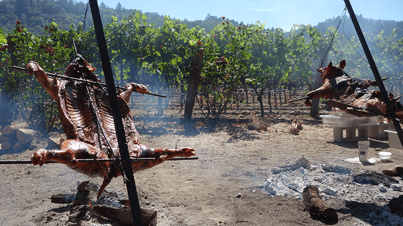 Heritage Fire pig roasting on open fire