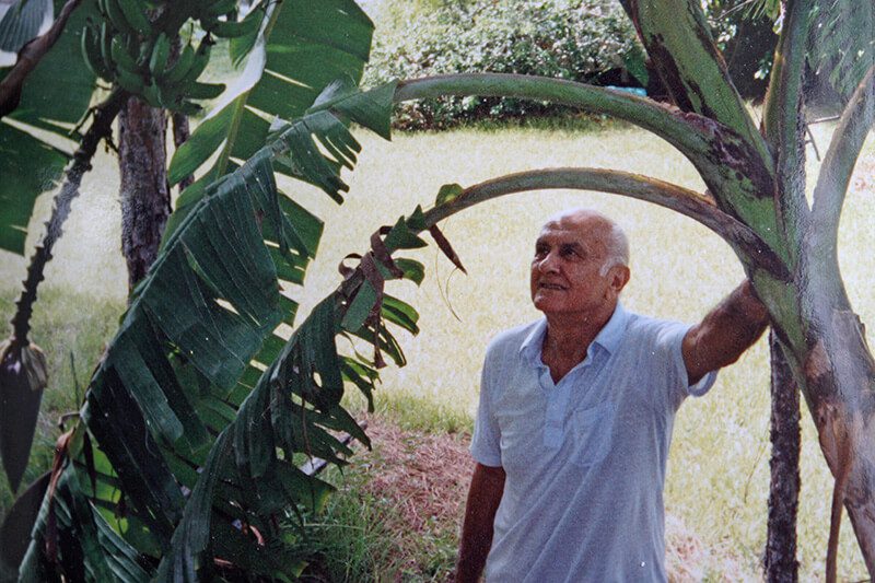 Papa
