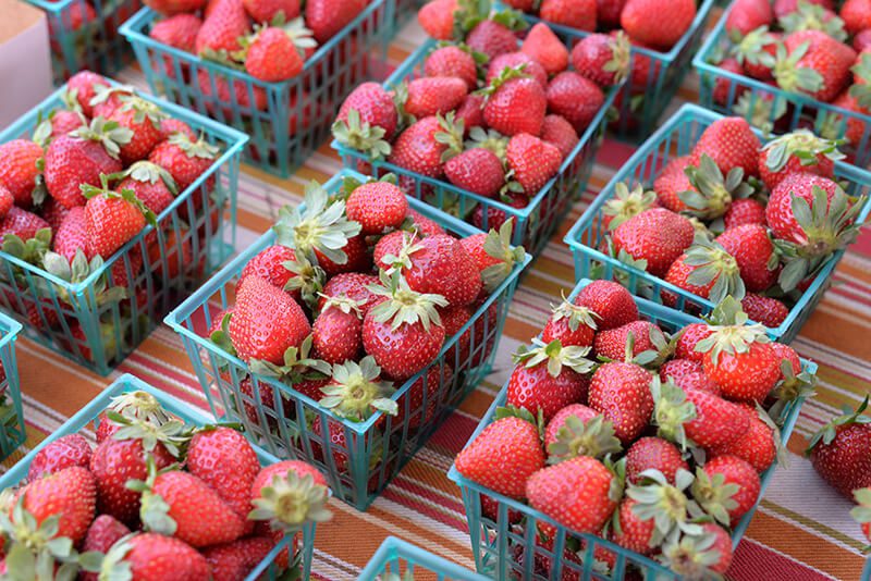 strawberries-dirtygirlfarm-cuesa-DSC_9826