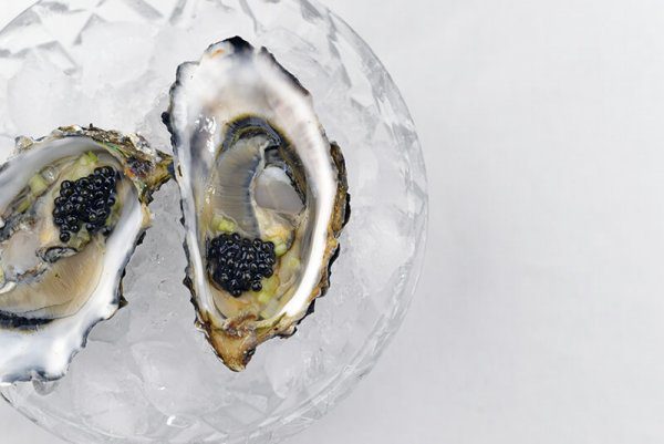 Hog Island Oysters holiday shipping with caviar and celery
