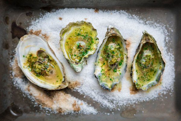 grilled oysters with herbed butter
