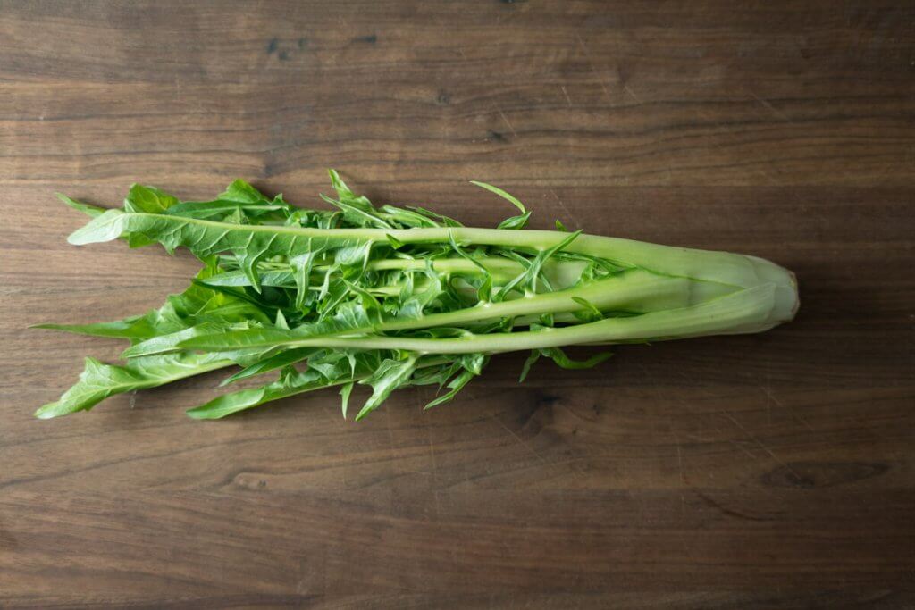 Puntarelle alla Romana The Taste Edit