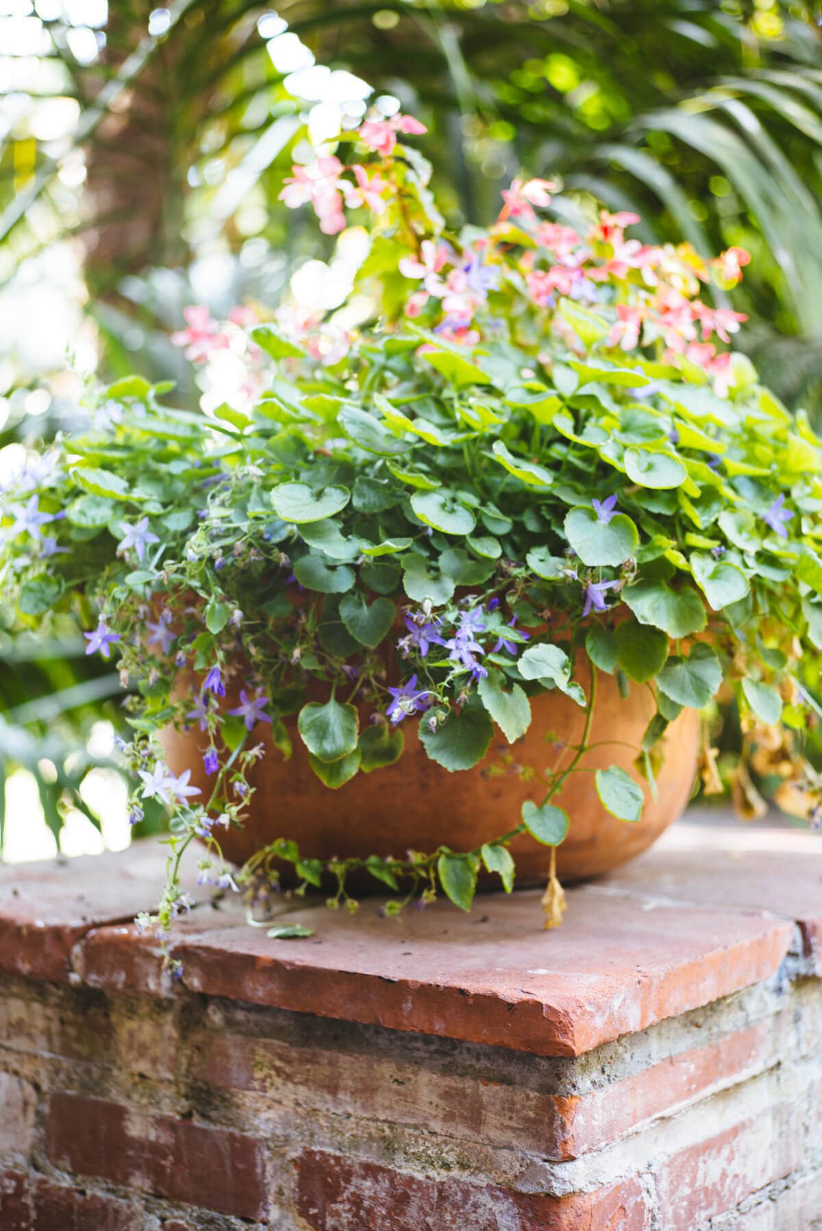 Flowers all around the Four Seasons Santa Barbara, see more on The Taste Edit