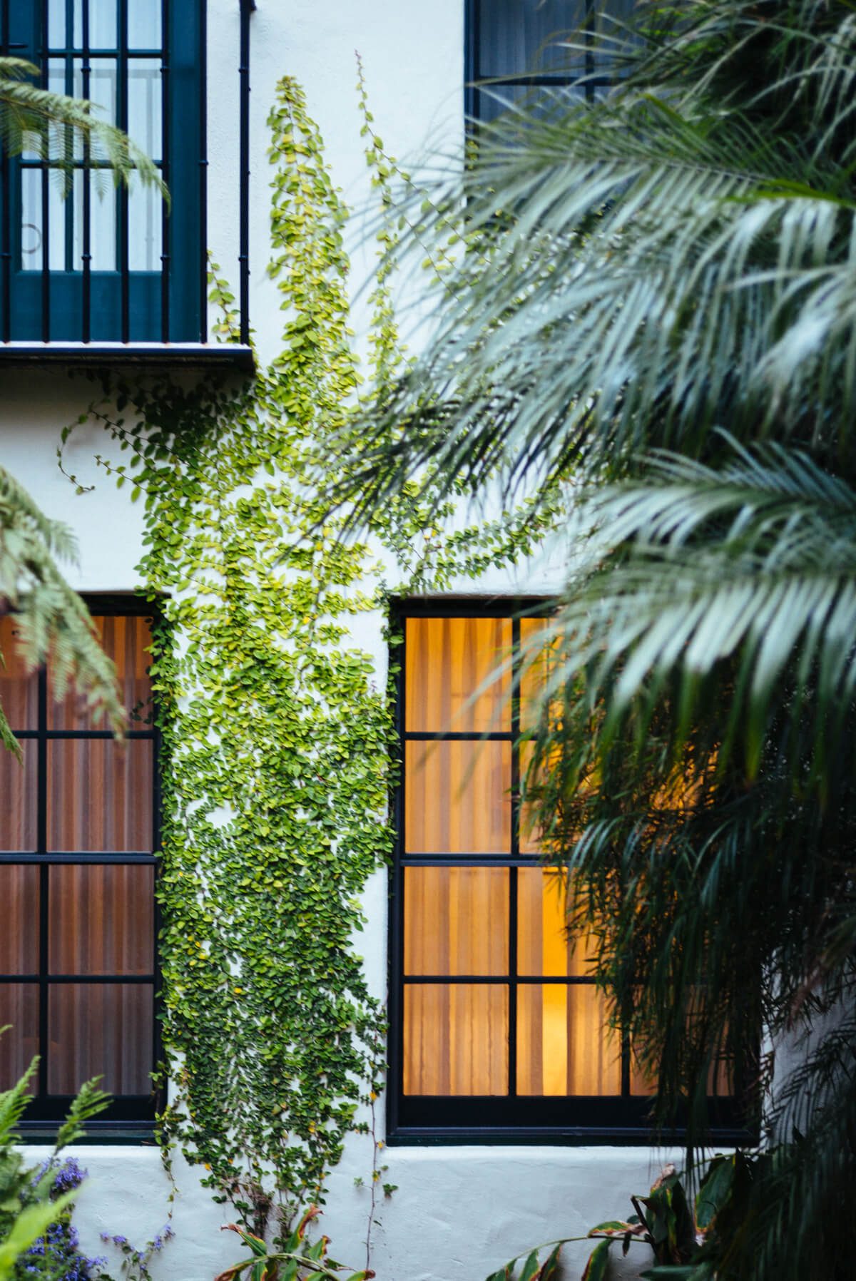 vines growning up the wall at The Four Seasons Biltmore Santa Barbara more on The Taste Edit