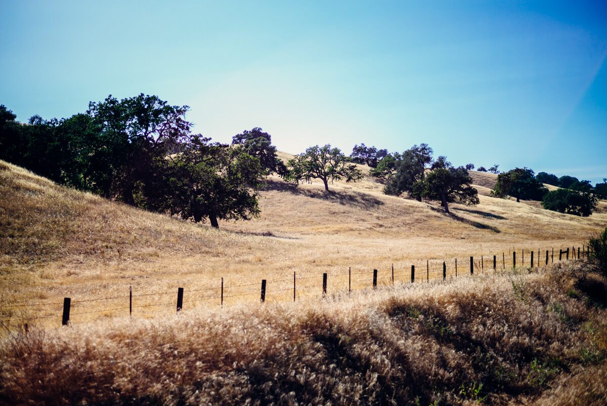 Drive around Santa Ynez Valley with beautiful landscapes and wineries
