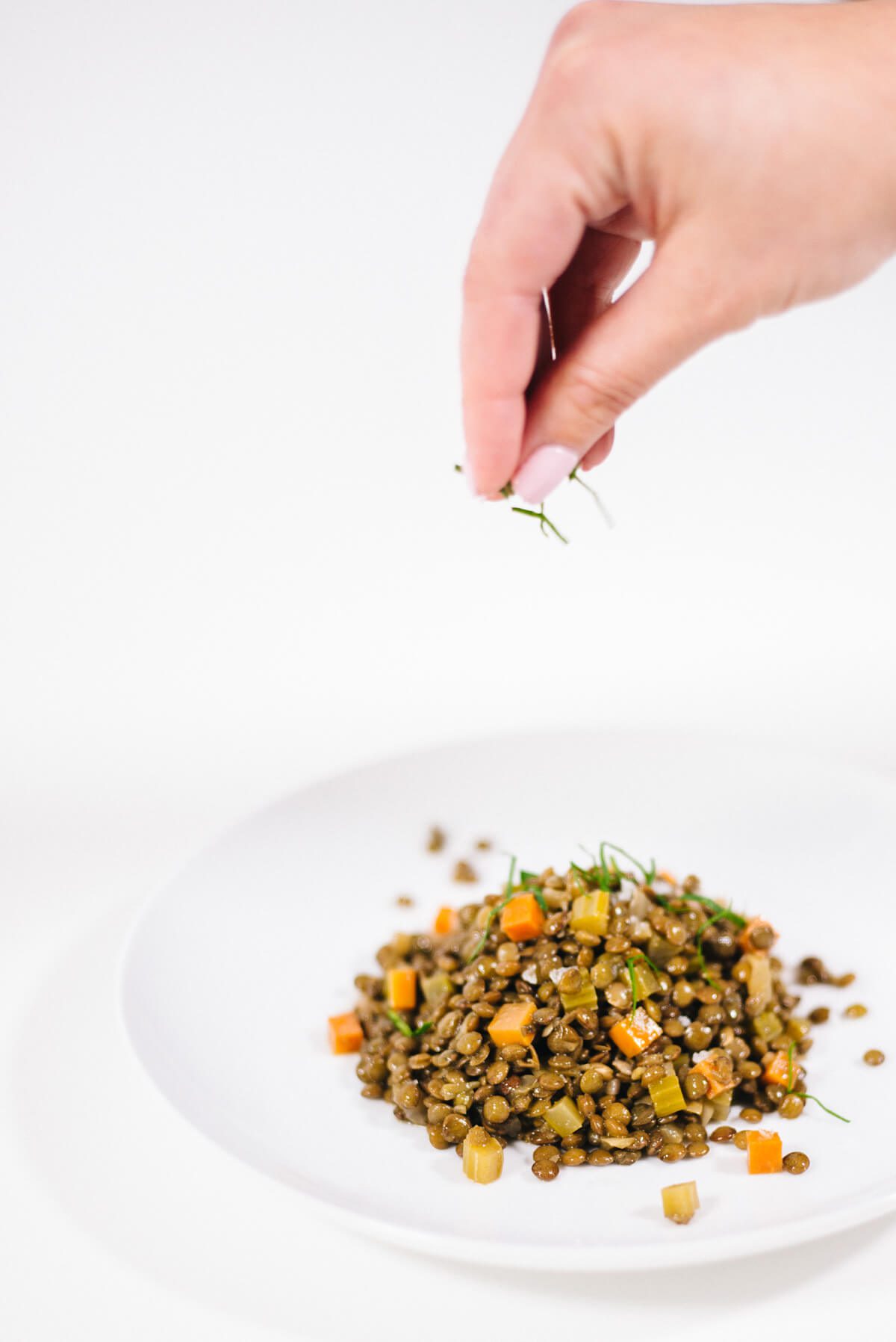 Topping a French lentil salad with parsley
