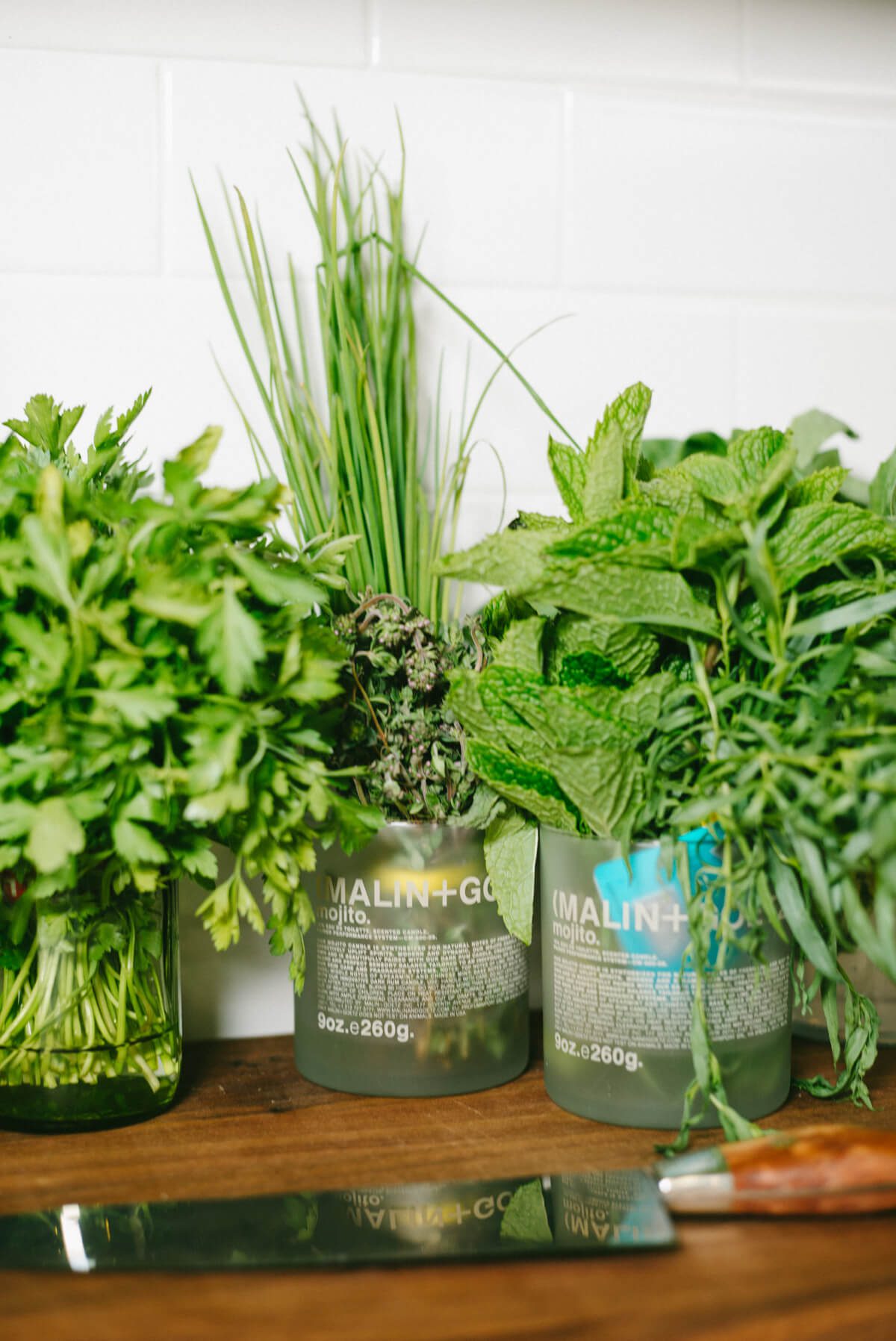 Herbs stored in glasses on the counter