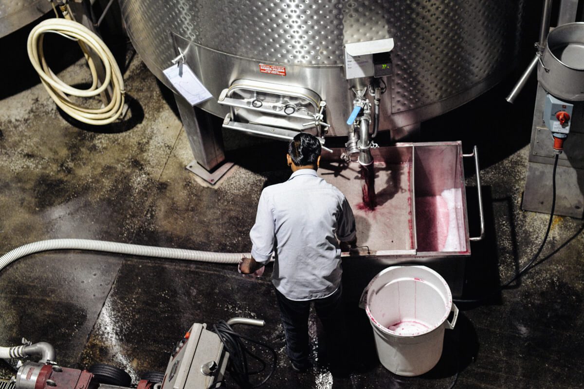 At Quintessa winery making Bordeaux-style red wine in Napa