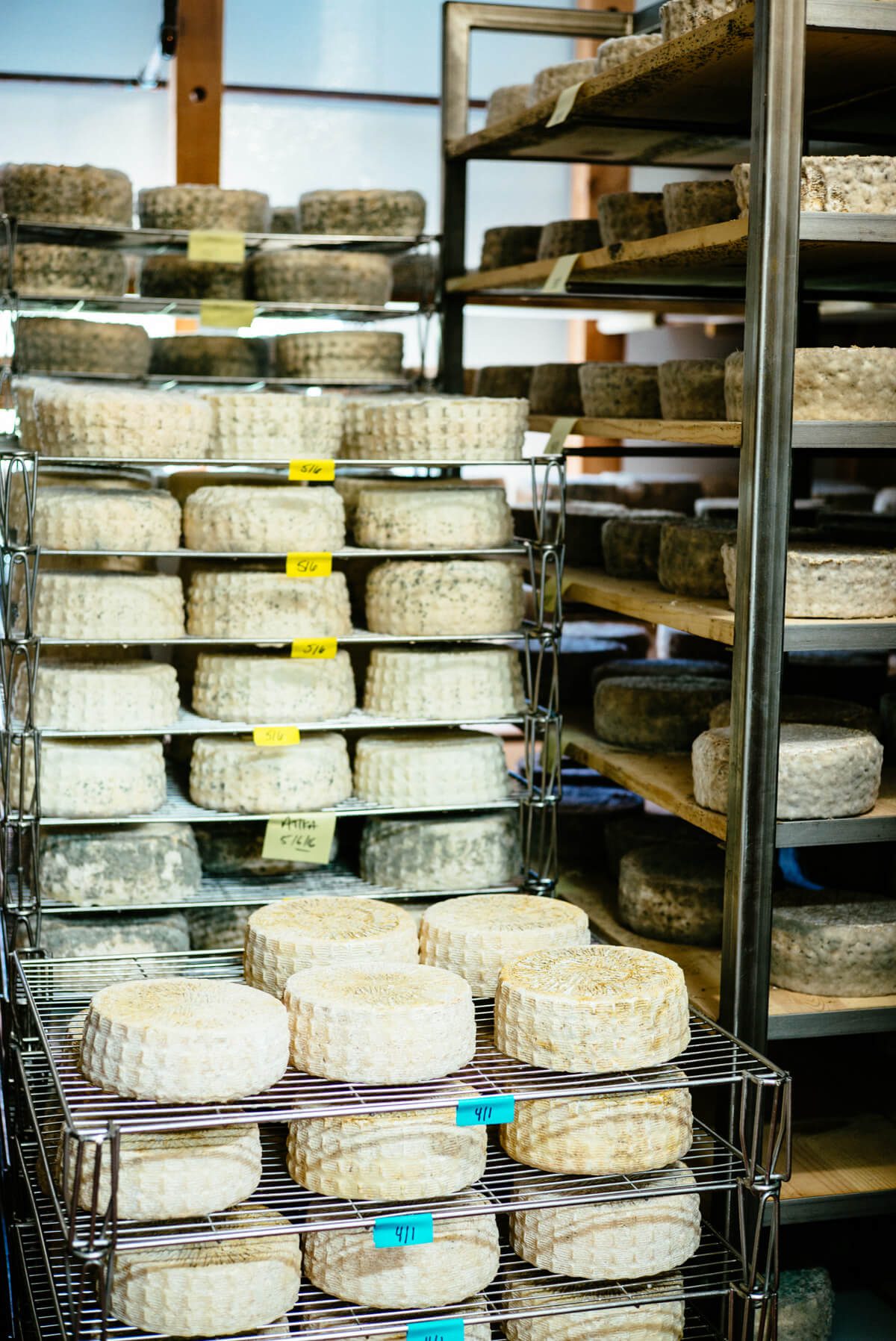 Cheese aging at tomales farmstead creamery