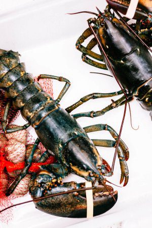 How To Cook a Lobster - The Taste Edit
