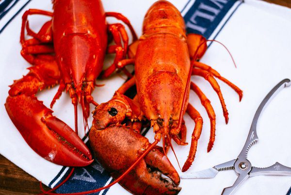 How to cook a lobster - Cooked lobsters by The Taste Edit