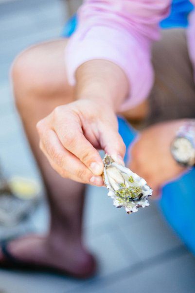 The Taste Edit serves oysters along with spicy mignonette
