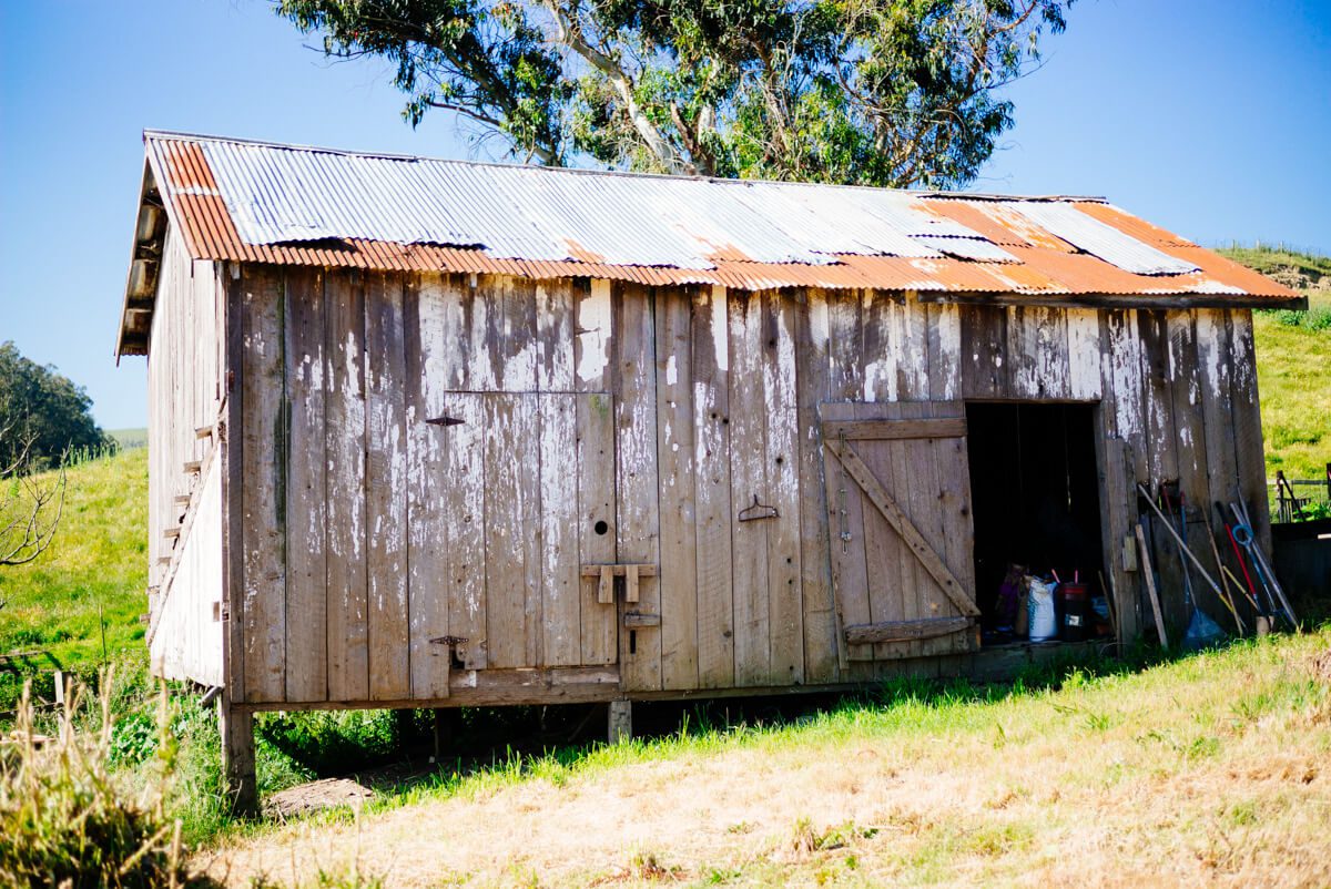 Barn at Tomales farmstead creamery