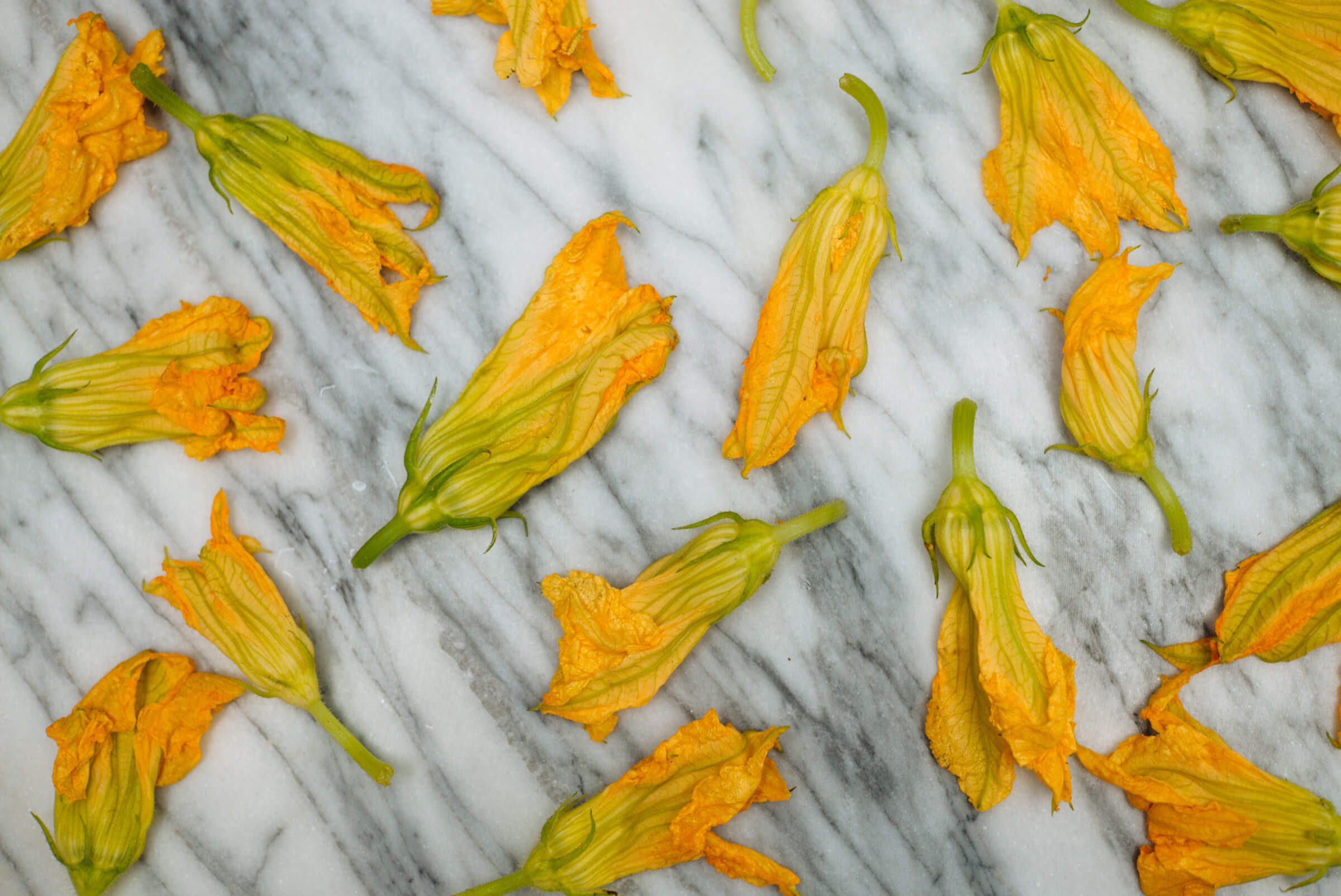 squash blossom flowers