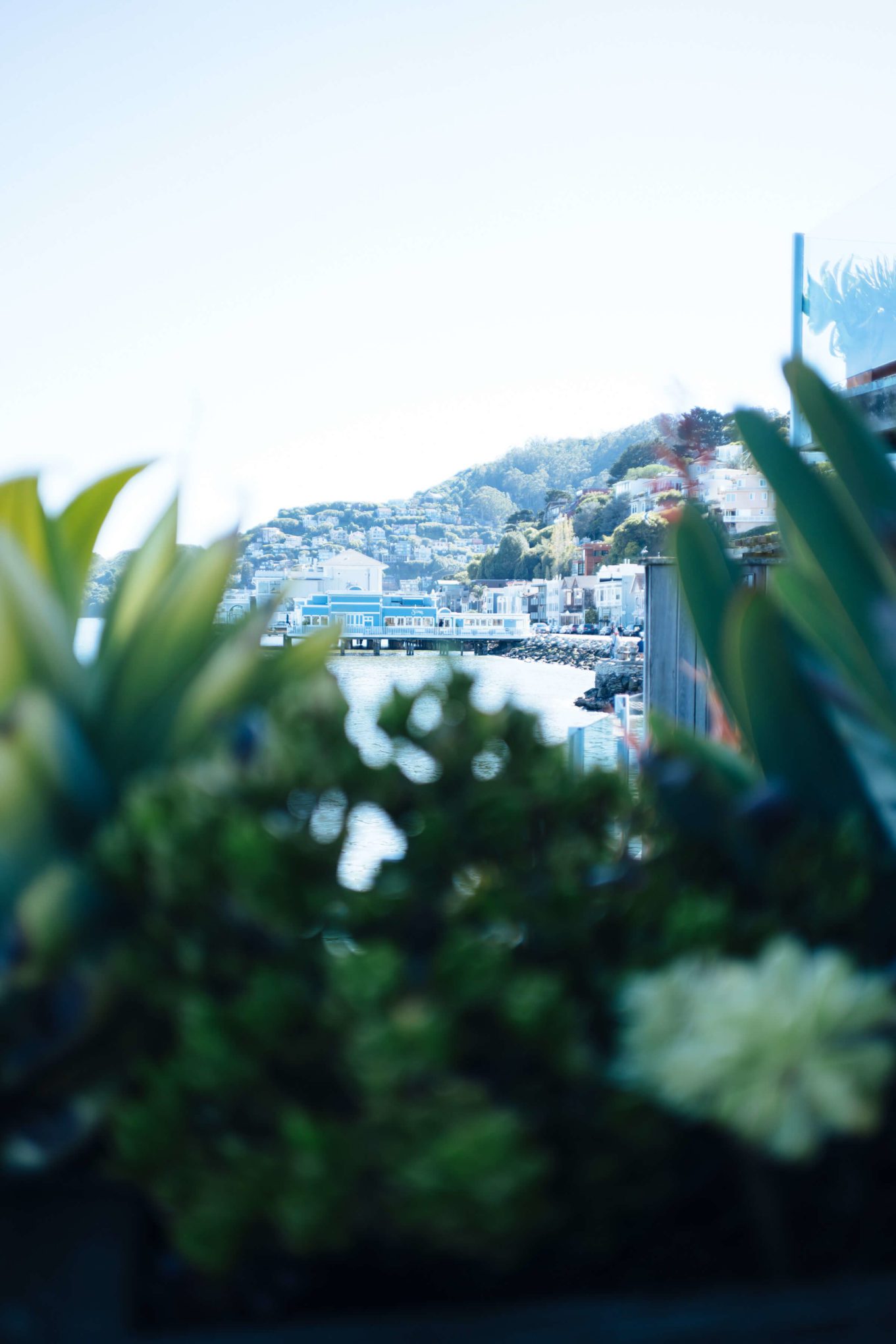 View of town and scoma's from the hotel in sausalito