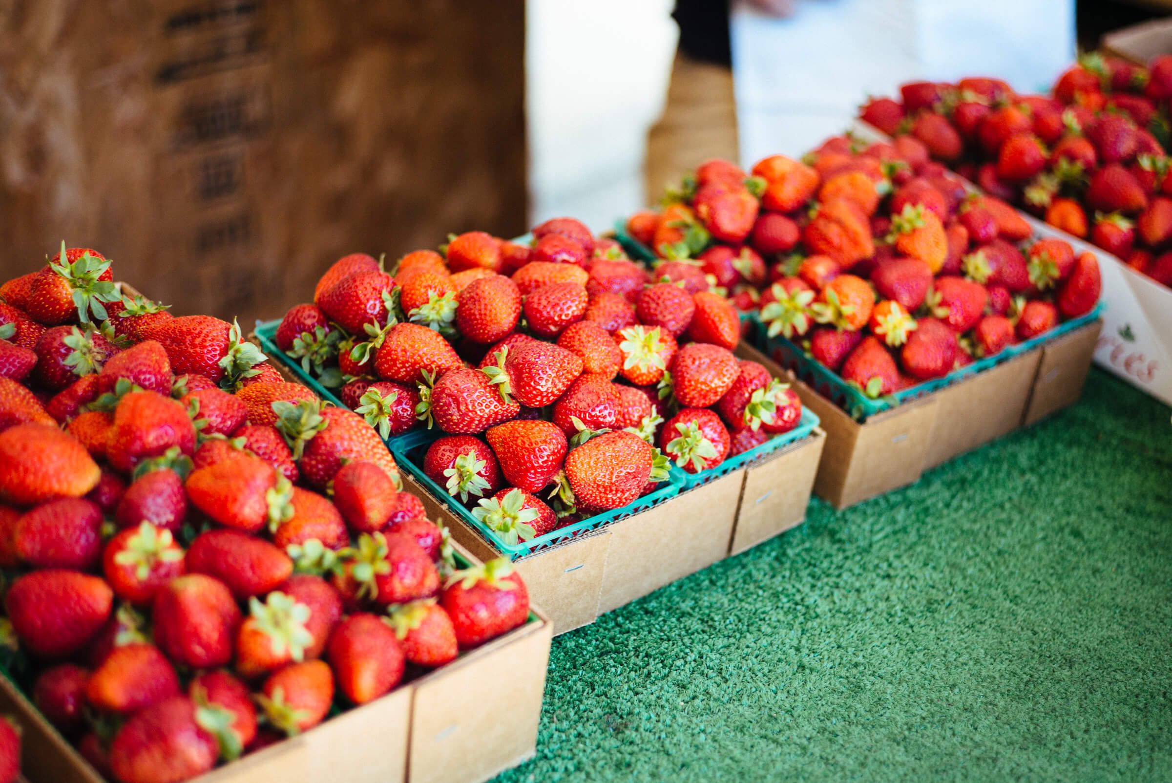 Strawberries at the Saeteurn Family Farm.