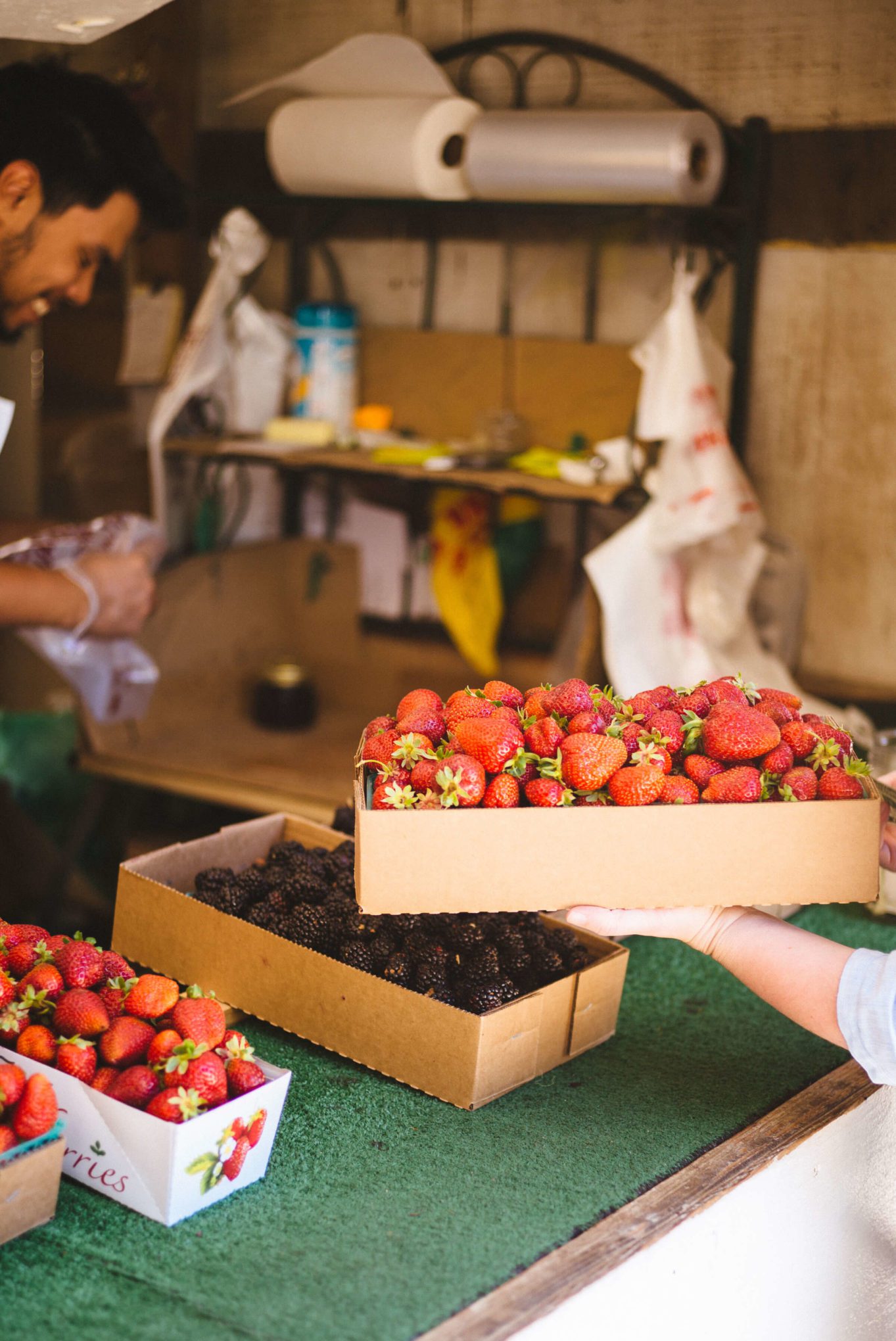 picking up berries at the Saeteurn farm stand
