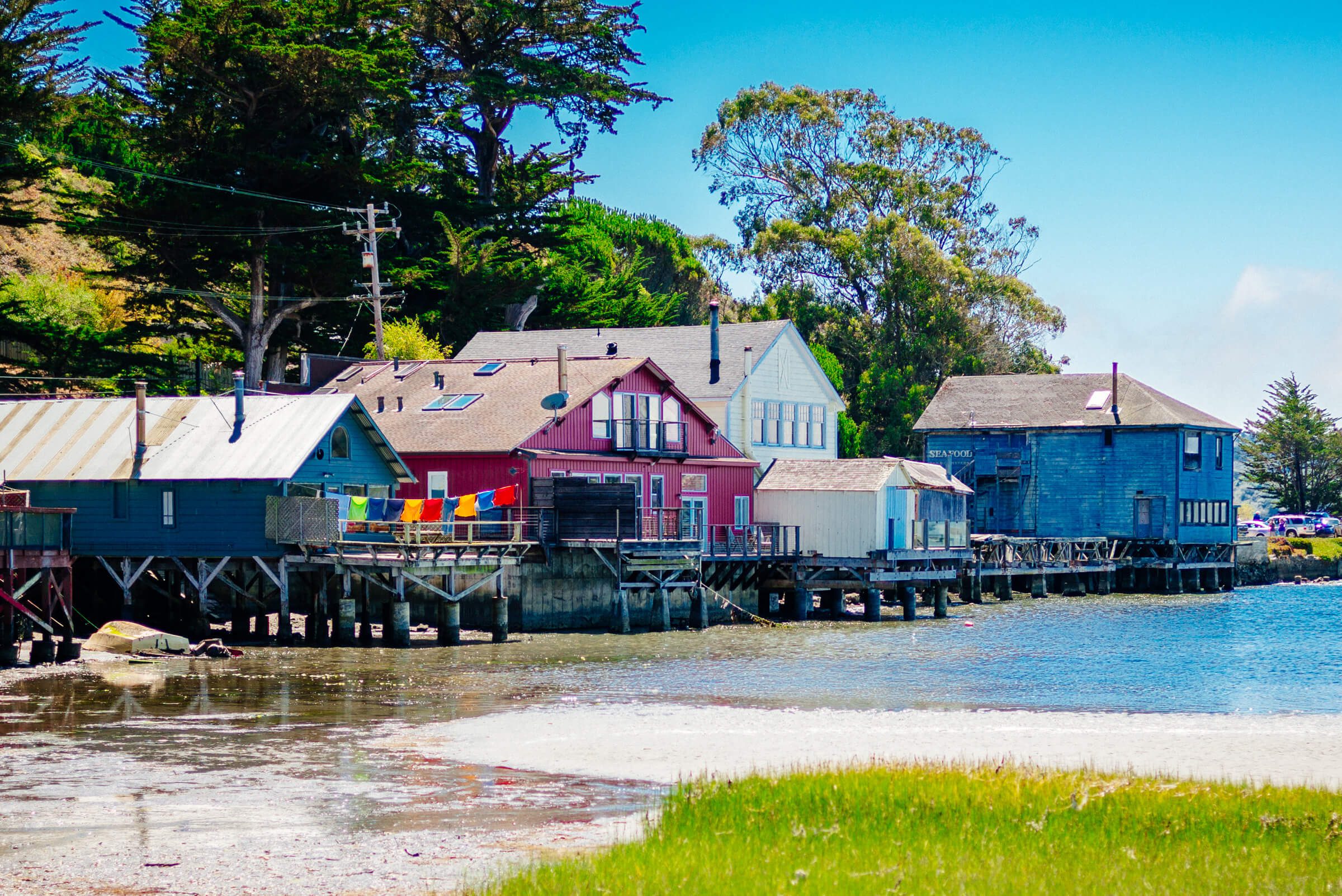 Houses from the view at Hog Island Oyster Farm in Marshall, Ca - Tamales Bay