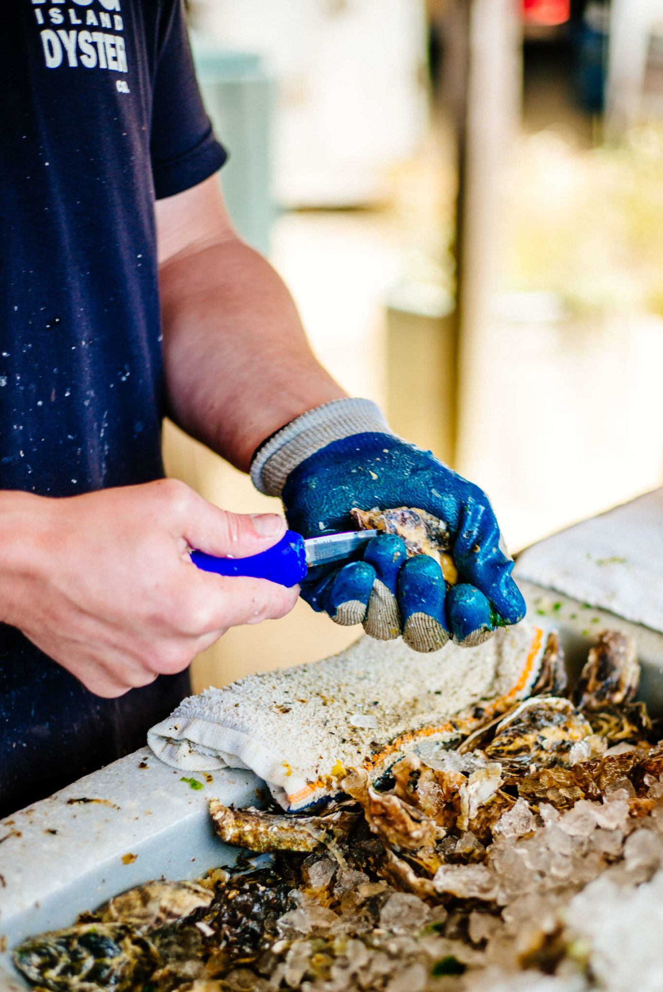 Shucking oysters at the boat house in Hog Island Oyster Farm in Marshall, Ca - Tamales Bay