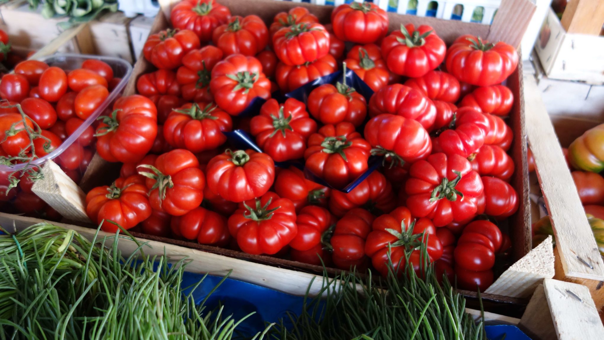 Tomatoes at the Italian market