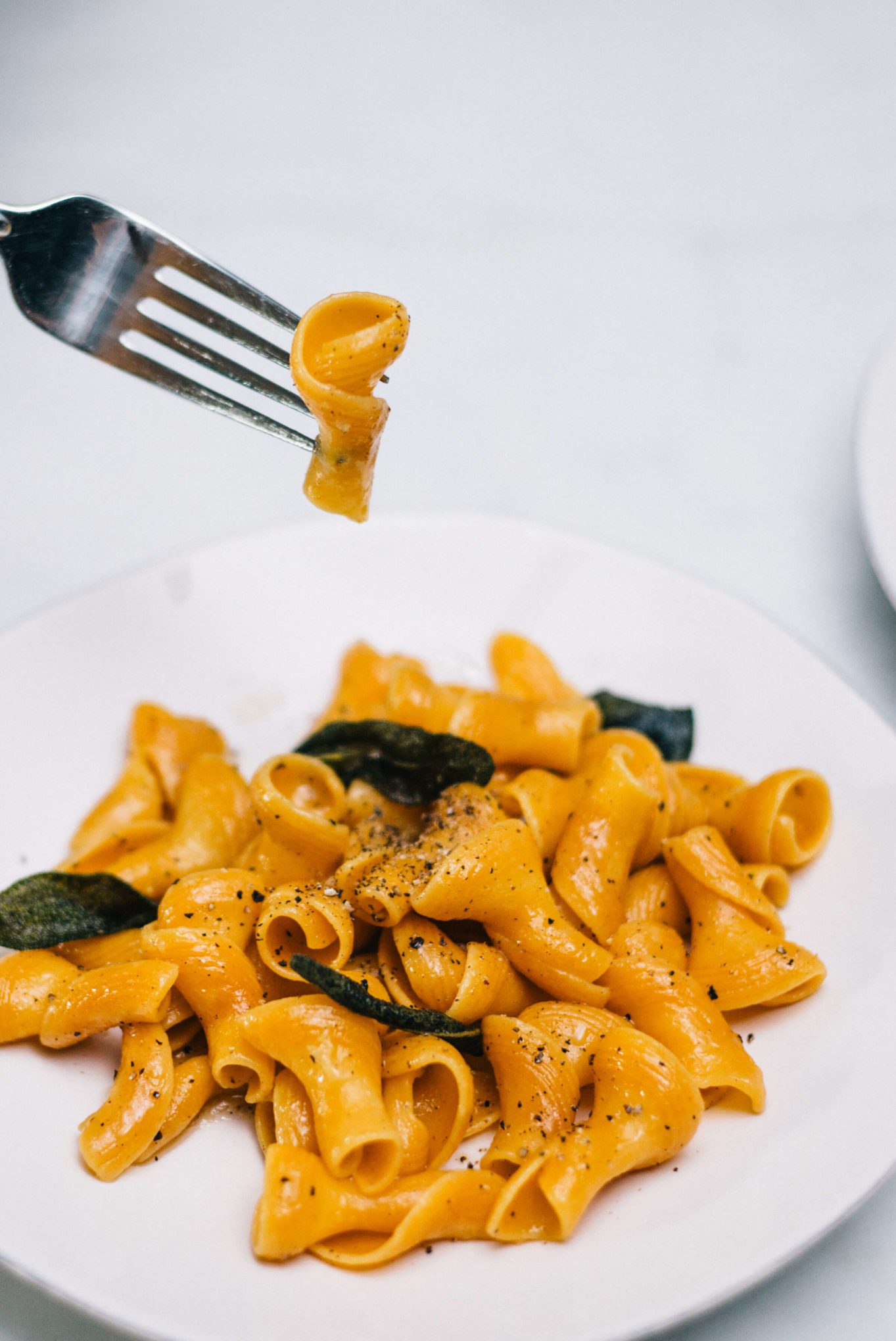 Fiori di Zucca or Pumpkin flower Pasta with sage and brown butter