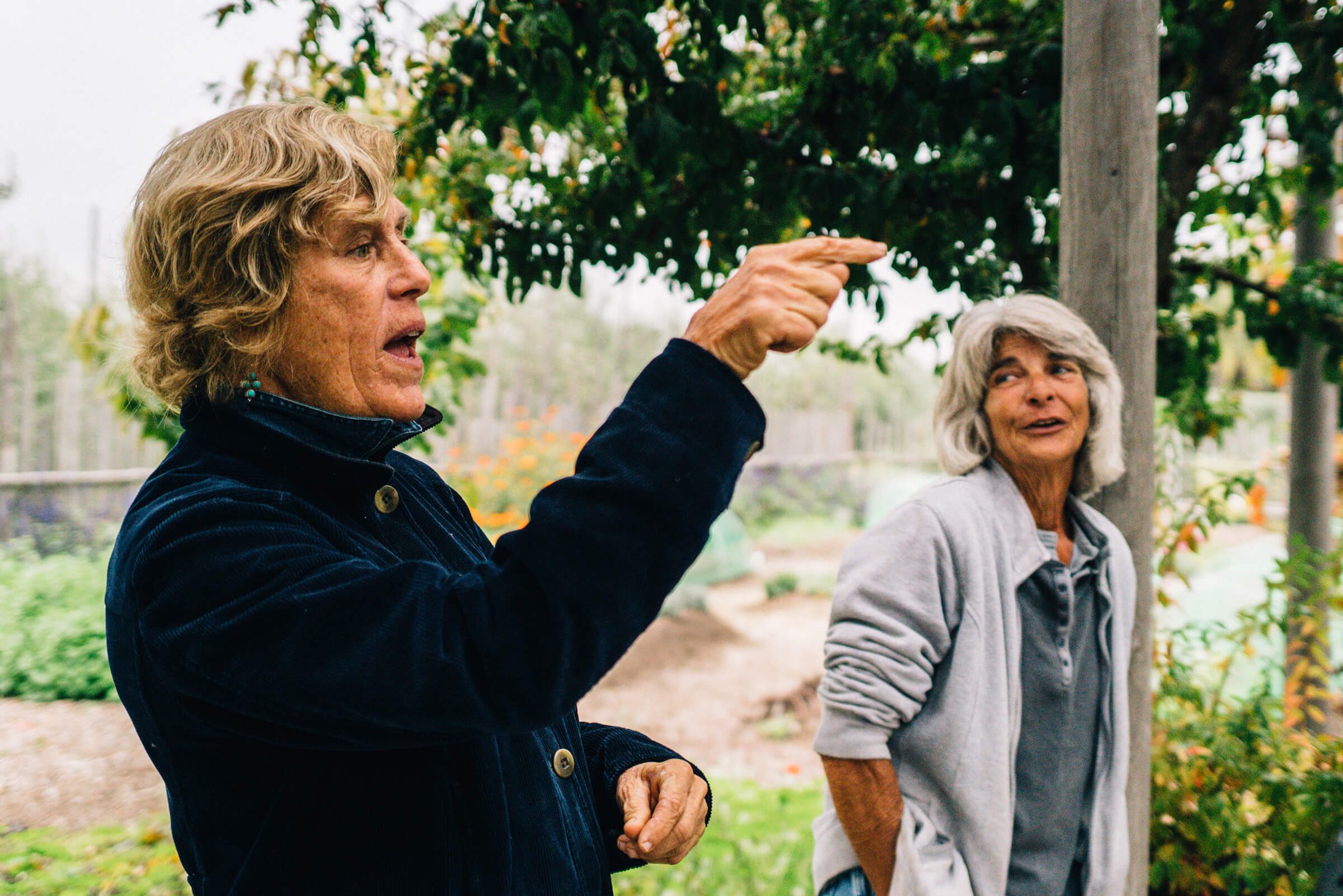 Master Gardeners at Round Pond Estate Rutherford Napa and The Taste Edit