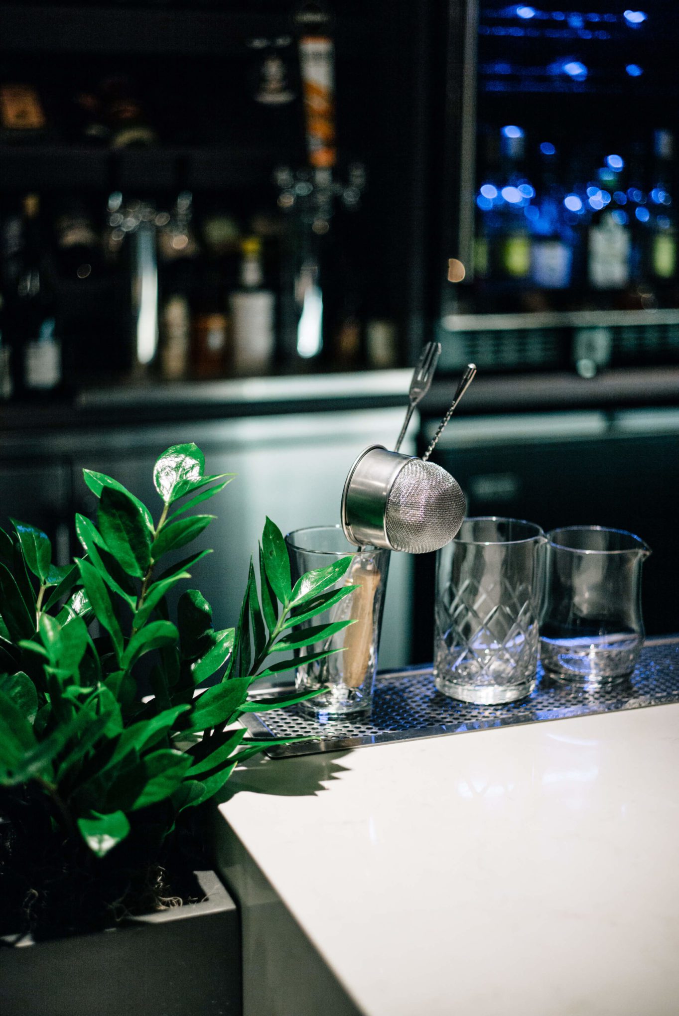 Bareware at the bar at The Morris restaurant in San Francisco - The Taste Edit