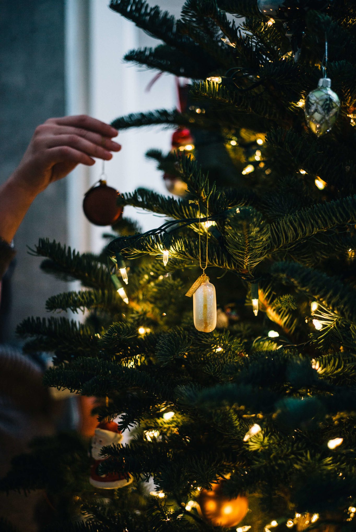 Ornaments decorating the christmas tree with the taste edit hanging macaroons
