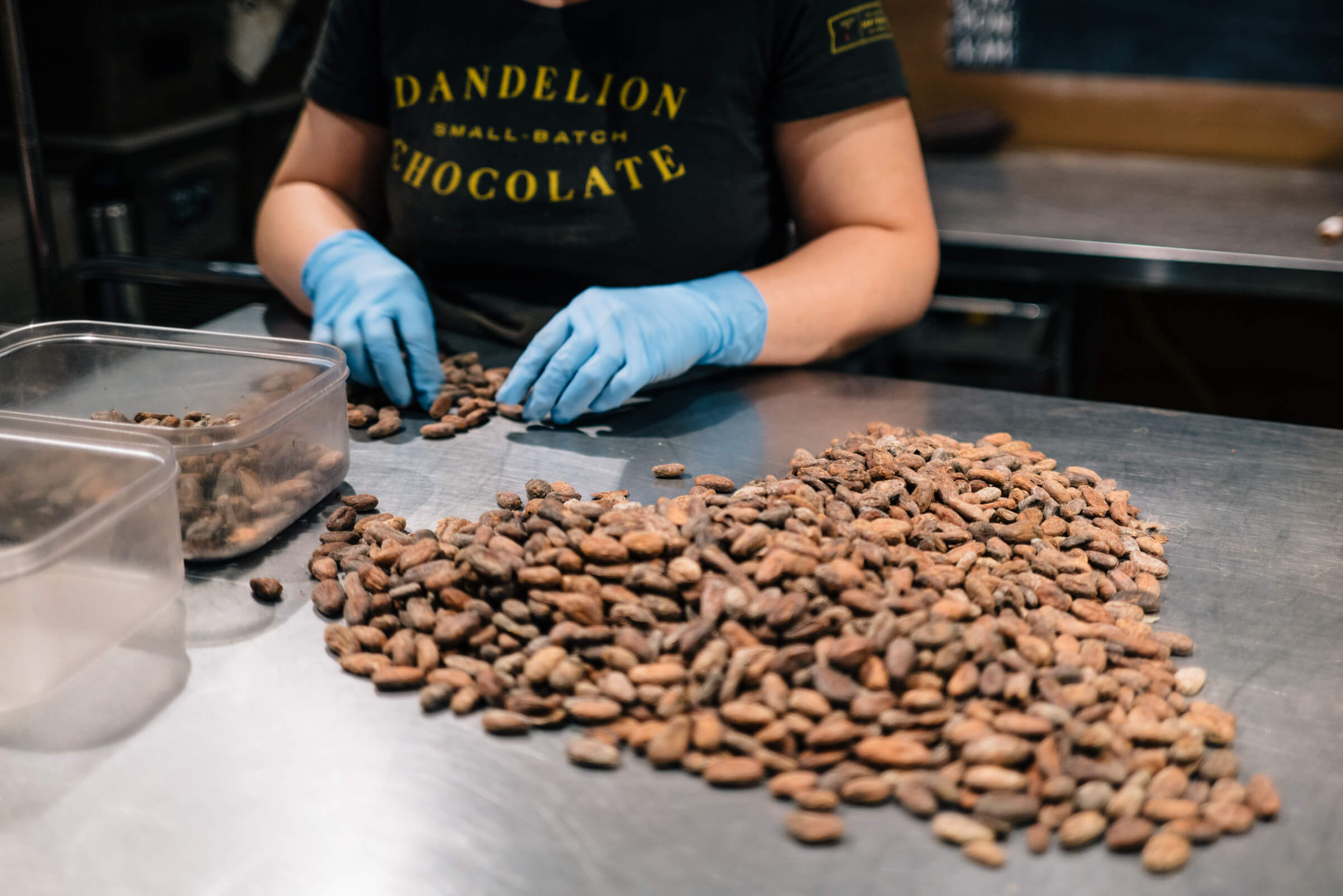 Inspecting chocolate beans at Dandelion Chocolate in San Francisco, The Taste Edit