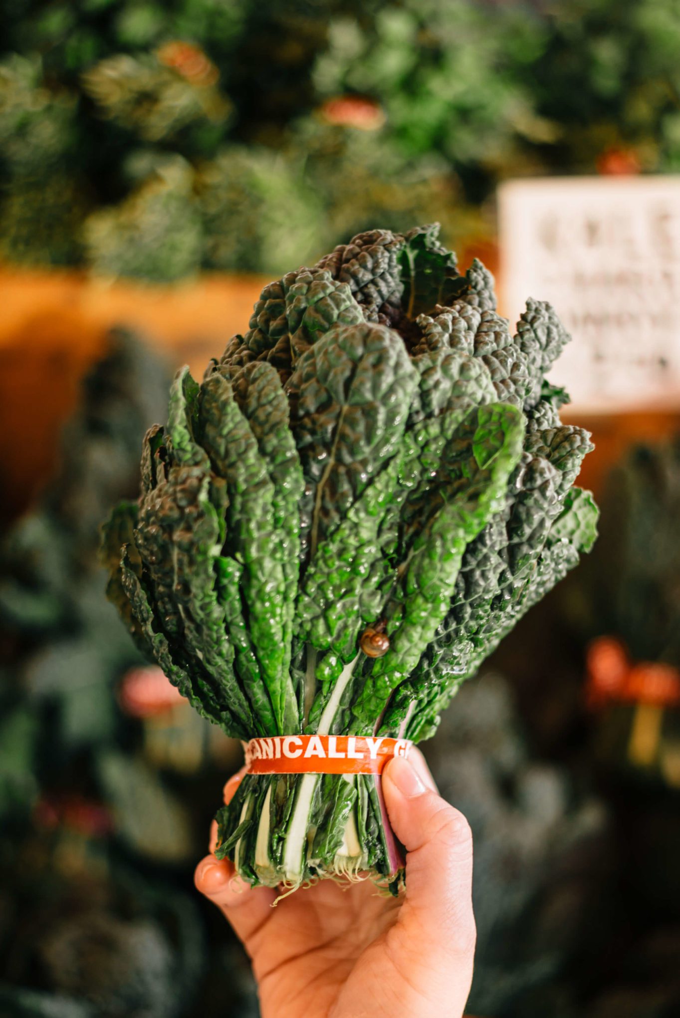 Kale at the CUESA San Francisco Farmers Market with The Taste Edit