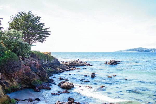 The Taste Edit visits Carmel Beach, it has white sands and is dog friendly