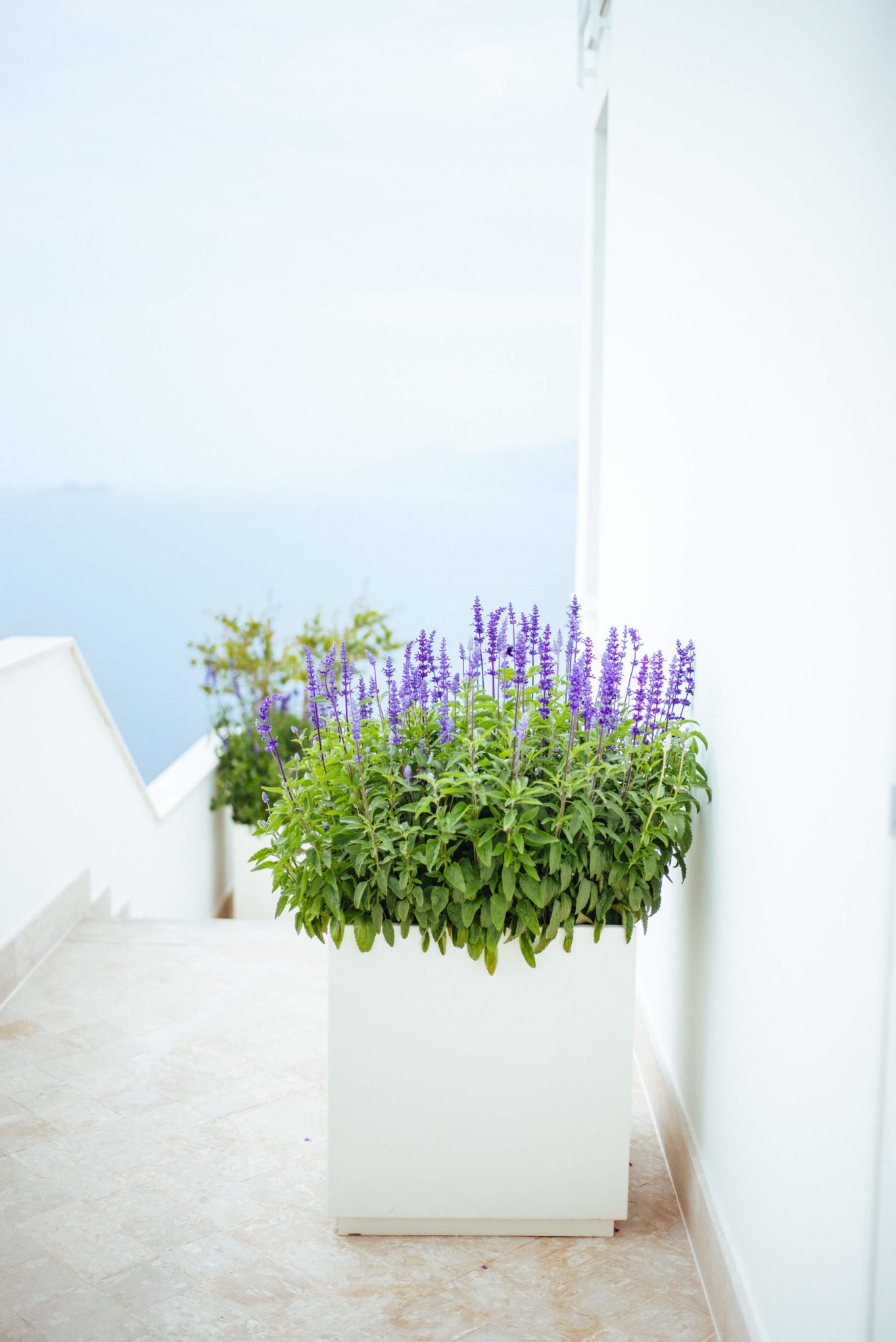 Relaxing hotel on the amalfi coast Casa Angelina Lifestyle Hotel in Praiano Italy, The Taste Edit