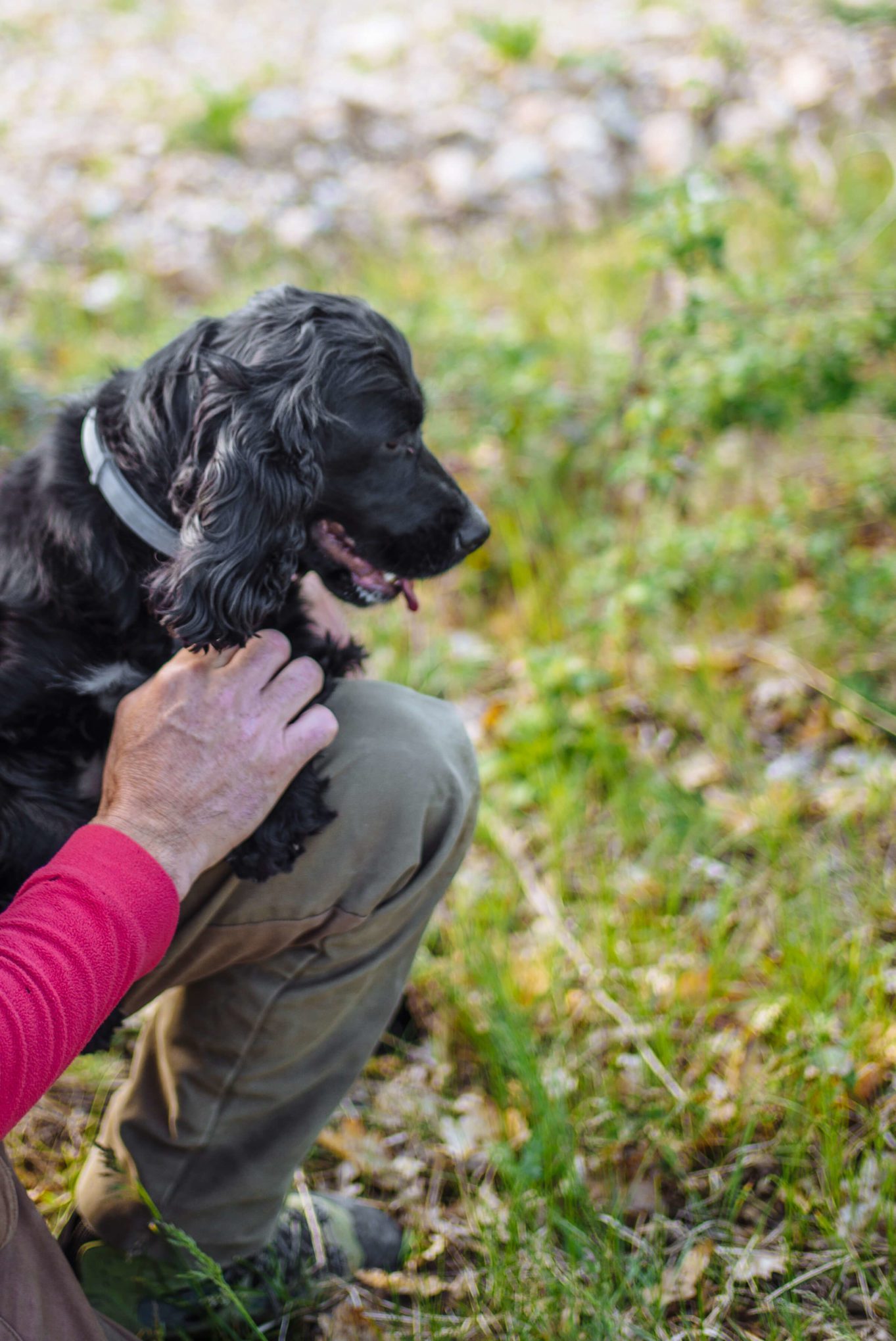 Lulu Truffle hunting during the day in Norcia Umbria Italy countryside, The Taste Edit