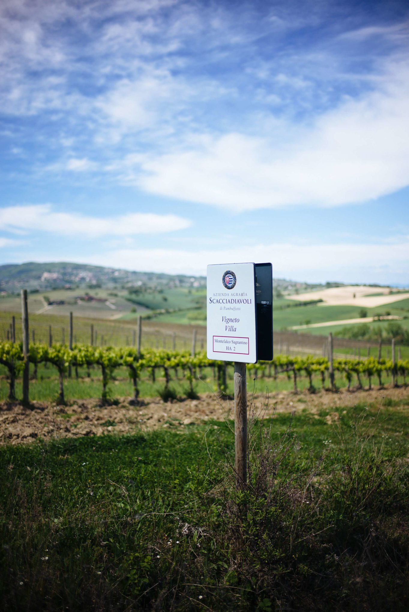 Visit Cantina Scacciadiavoli Winery in Montefalco Umbria Italy, The Taste Edit