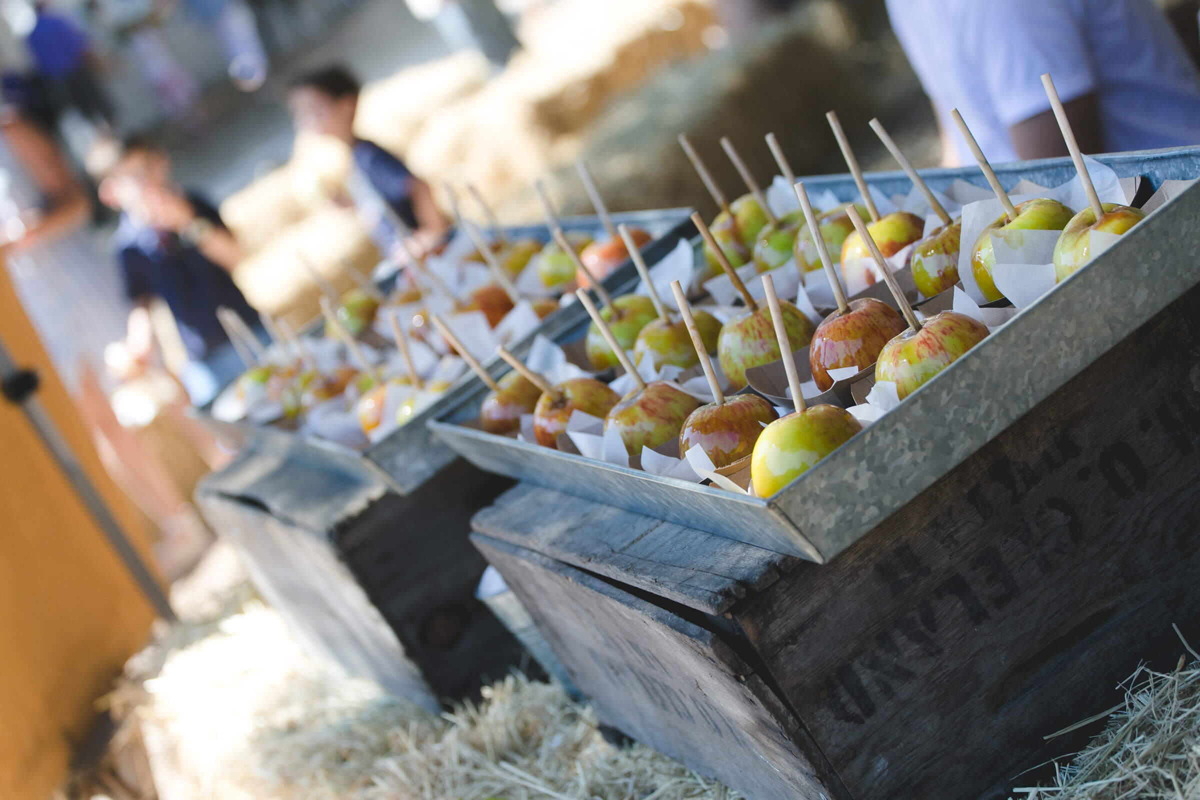 Gravenstein Apple Festival