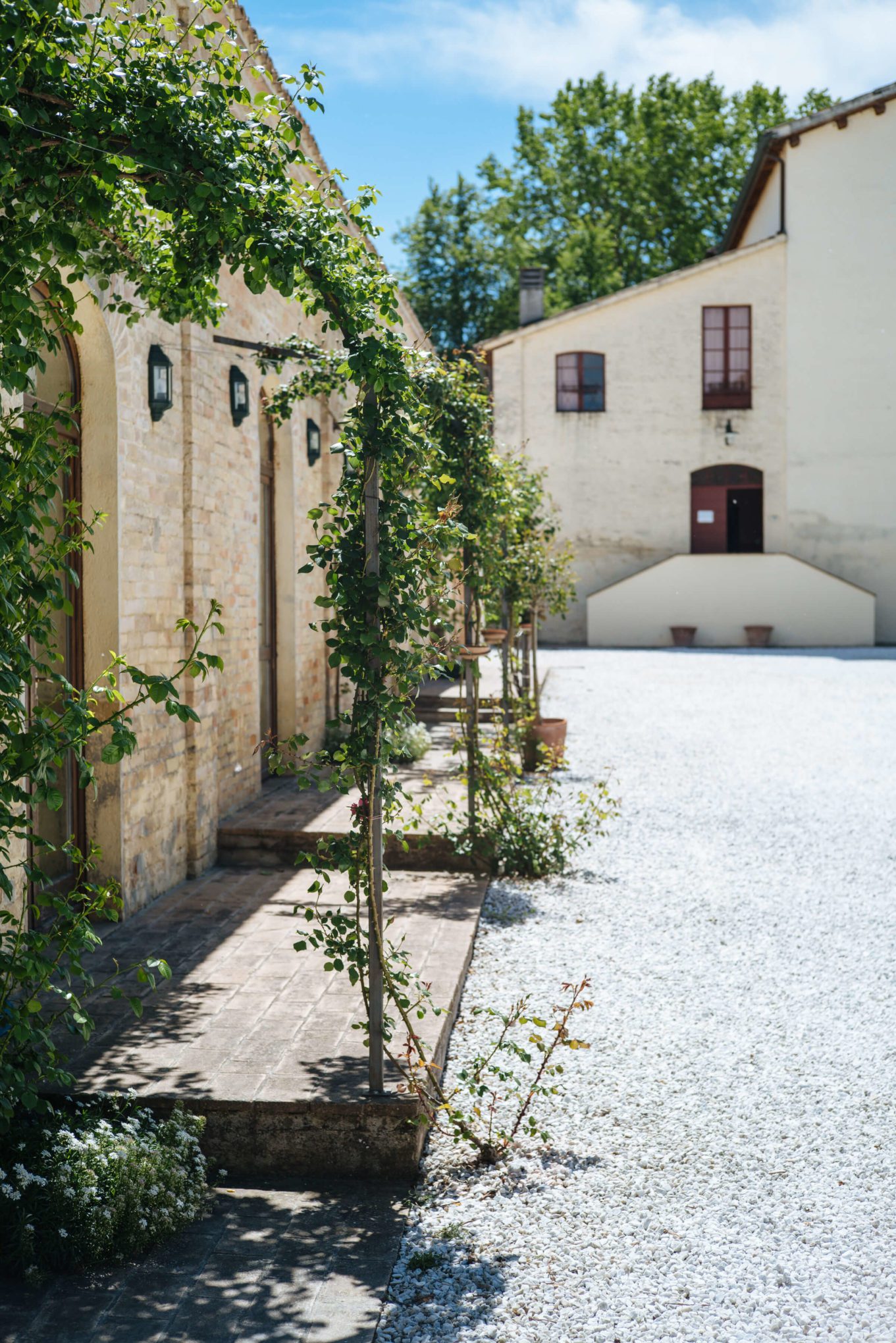 The Cantina Scacciadiavoli Winery in Montefalco Umbria Italy, The Taste Edit