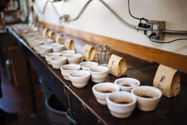 Cupping and tasting at Four Barrel Coffee in San Francisco, The Taste Edit