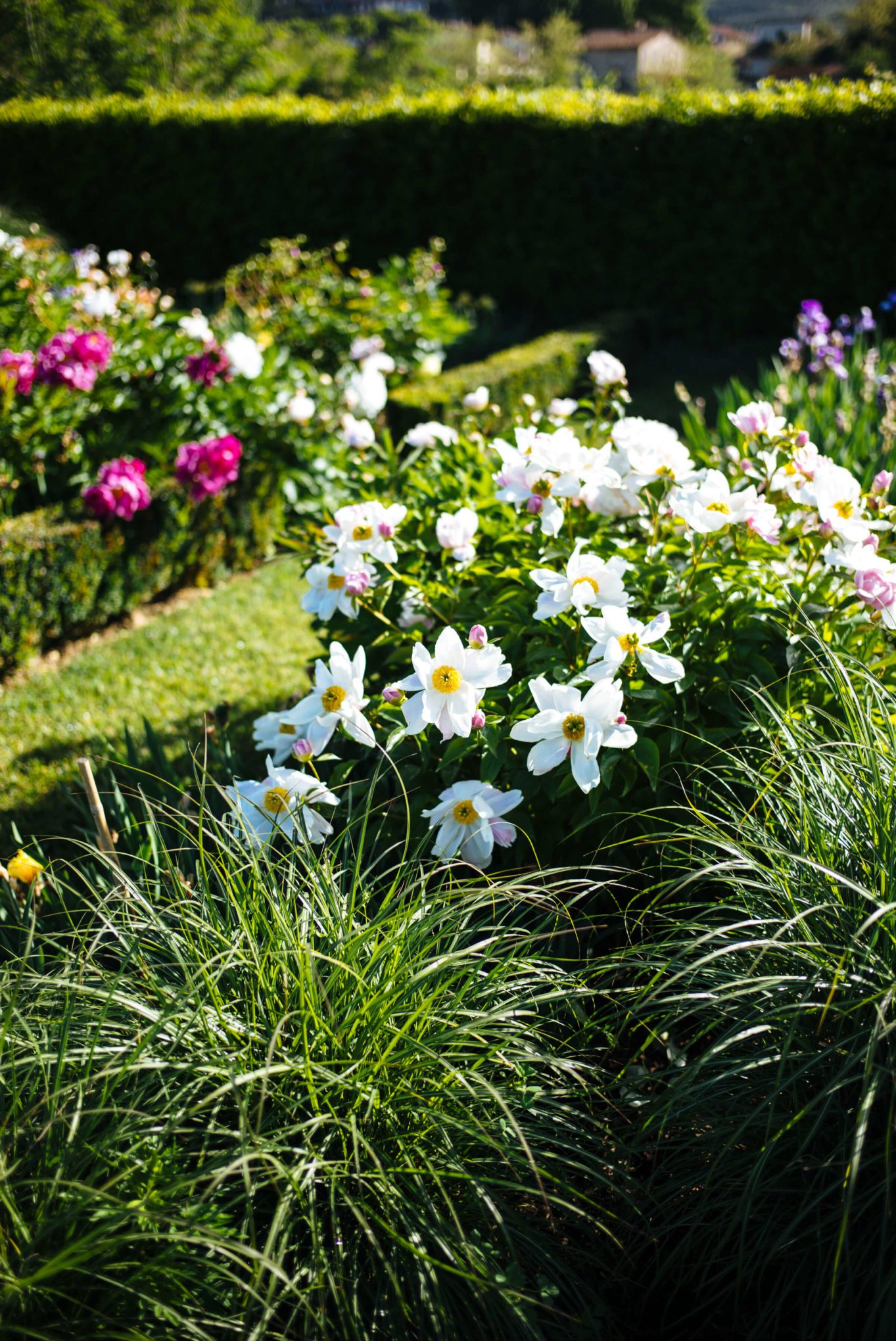 Gardents and flowers at Villa la Massa in Florence, The Taste Edit