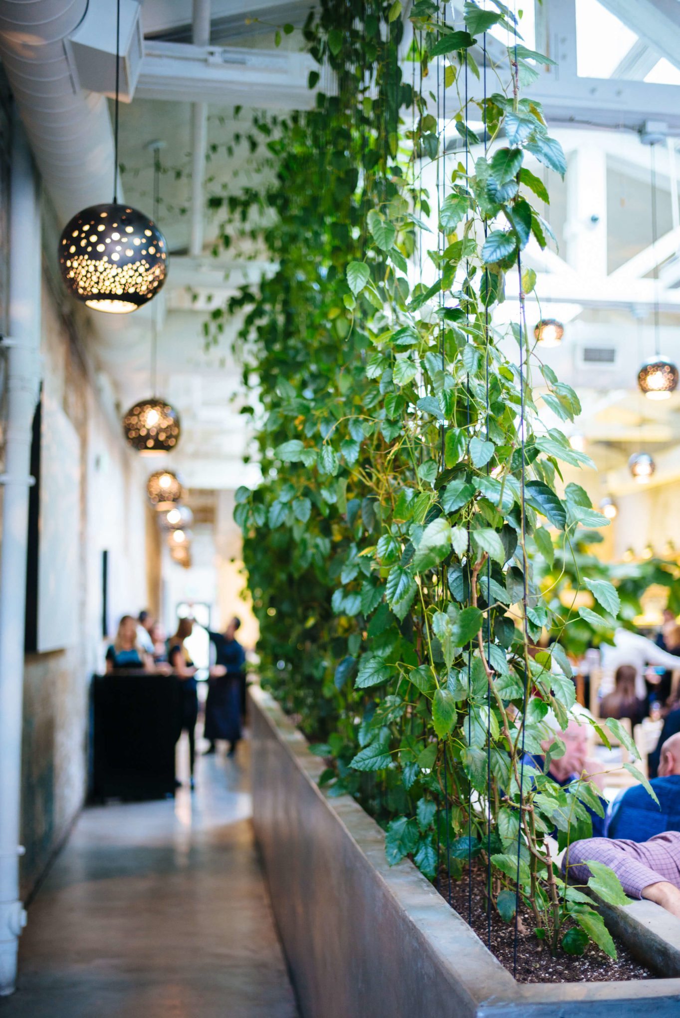 Gabriela Cámara's Cala San Francisco makes authentic Mexican food, mexican restaurant san francisco , The Taste Edit