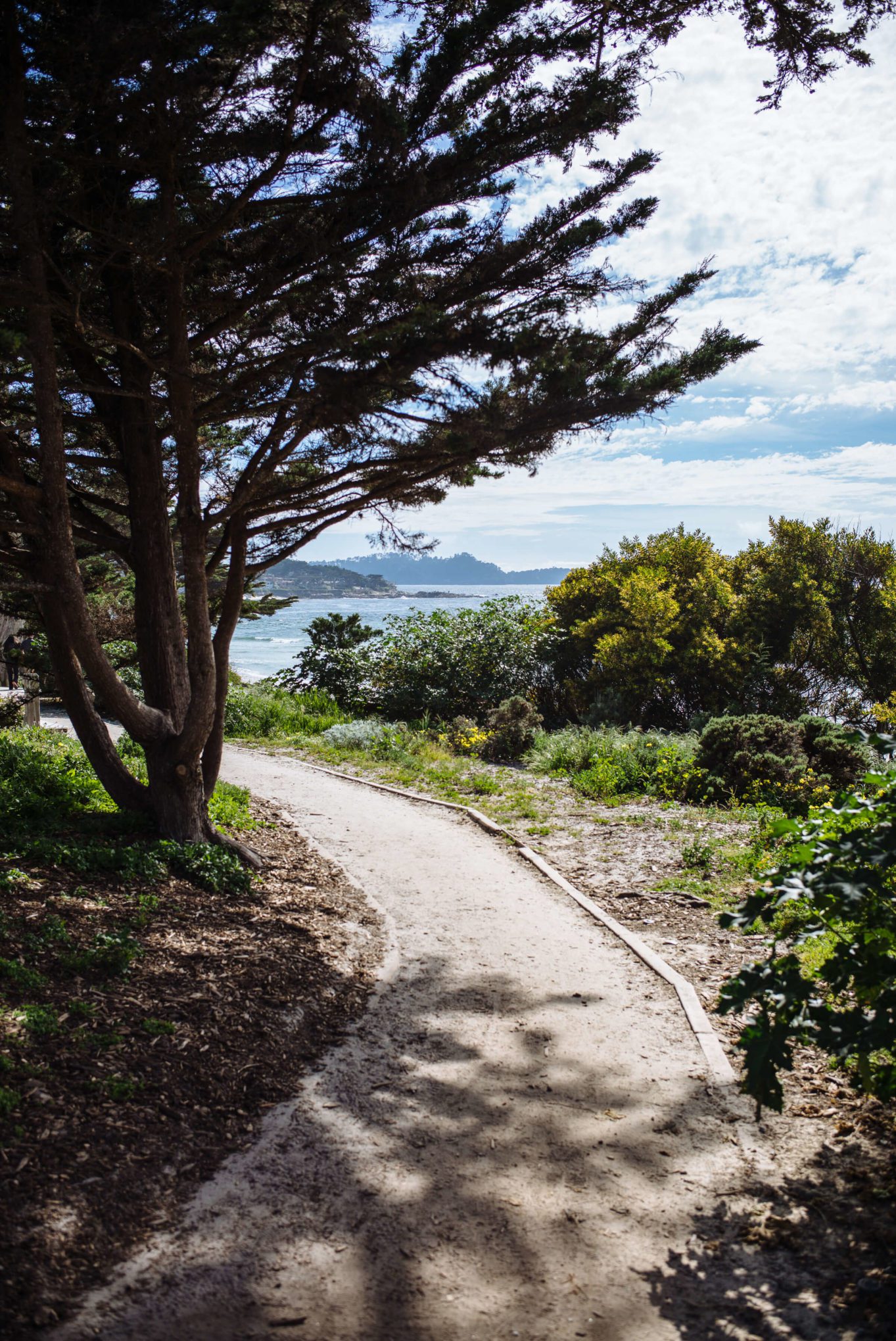 Weekend Guide to Carmel from The Taste Edit