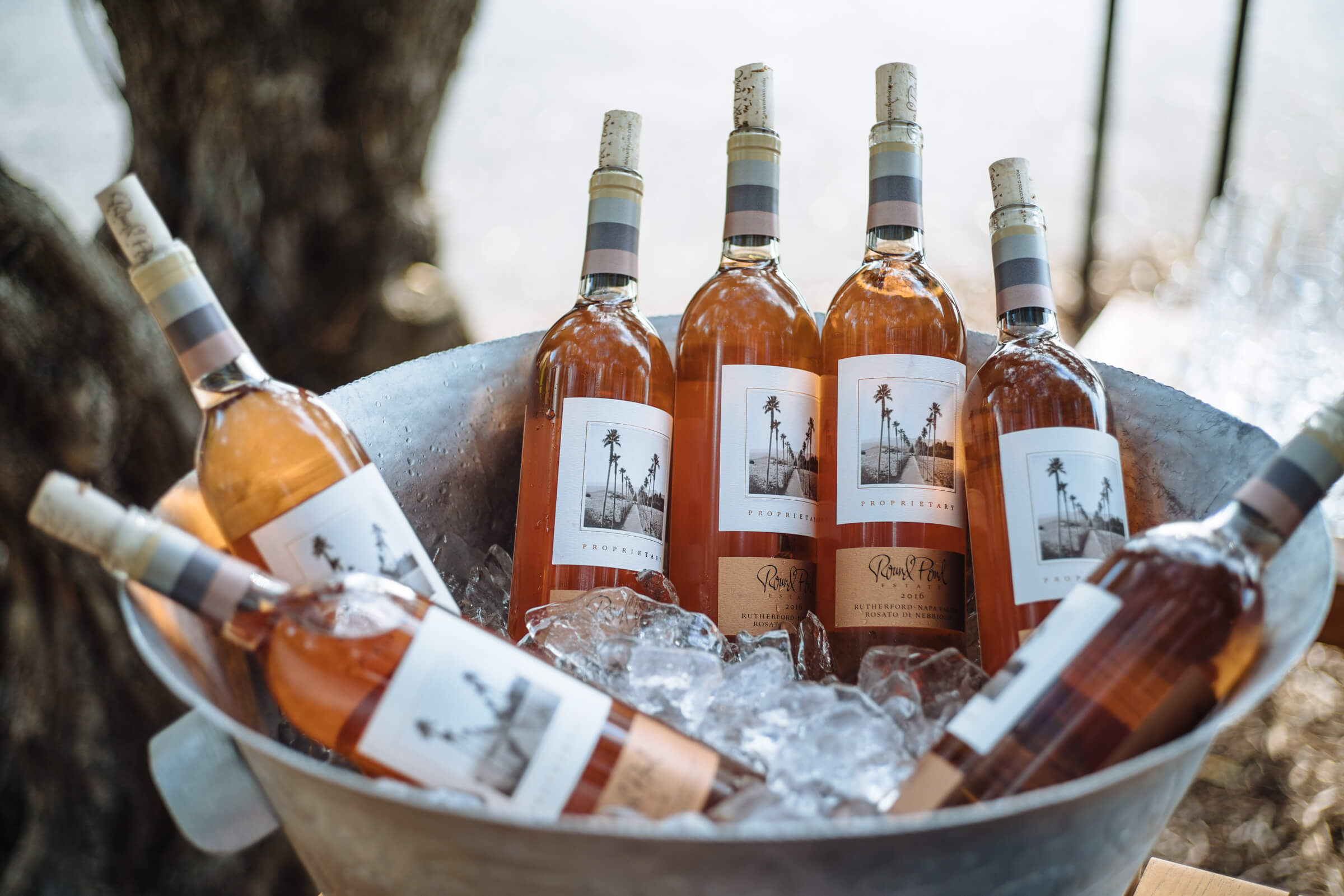 Round Pond's Rose Wine at Round Pond Estate Sunset Palm Dinner in Napa, The Taste Edit