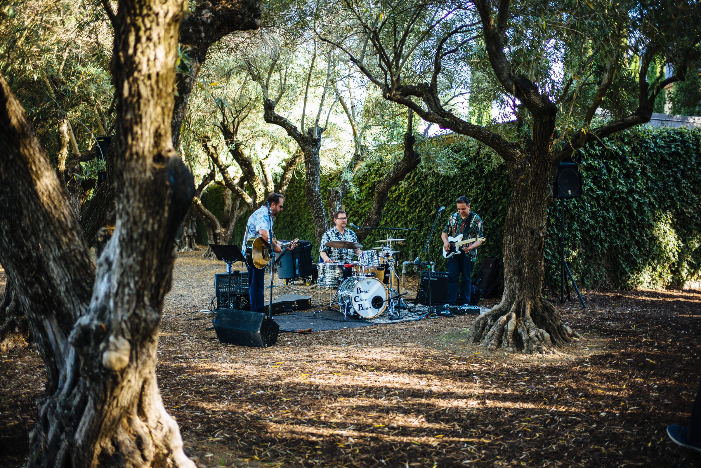 band playing at Round Pond Estate Sunset Palm Dinner in Napa, The Taste Edit