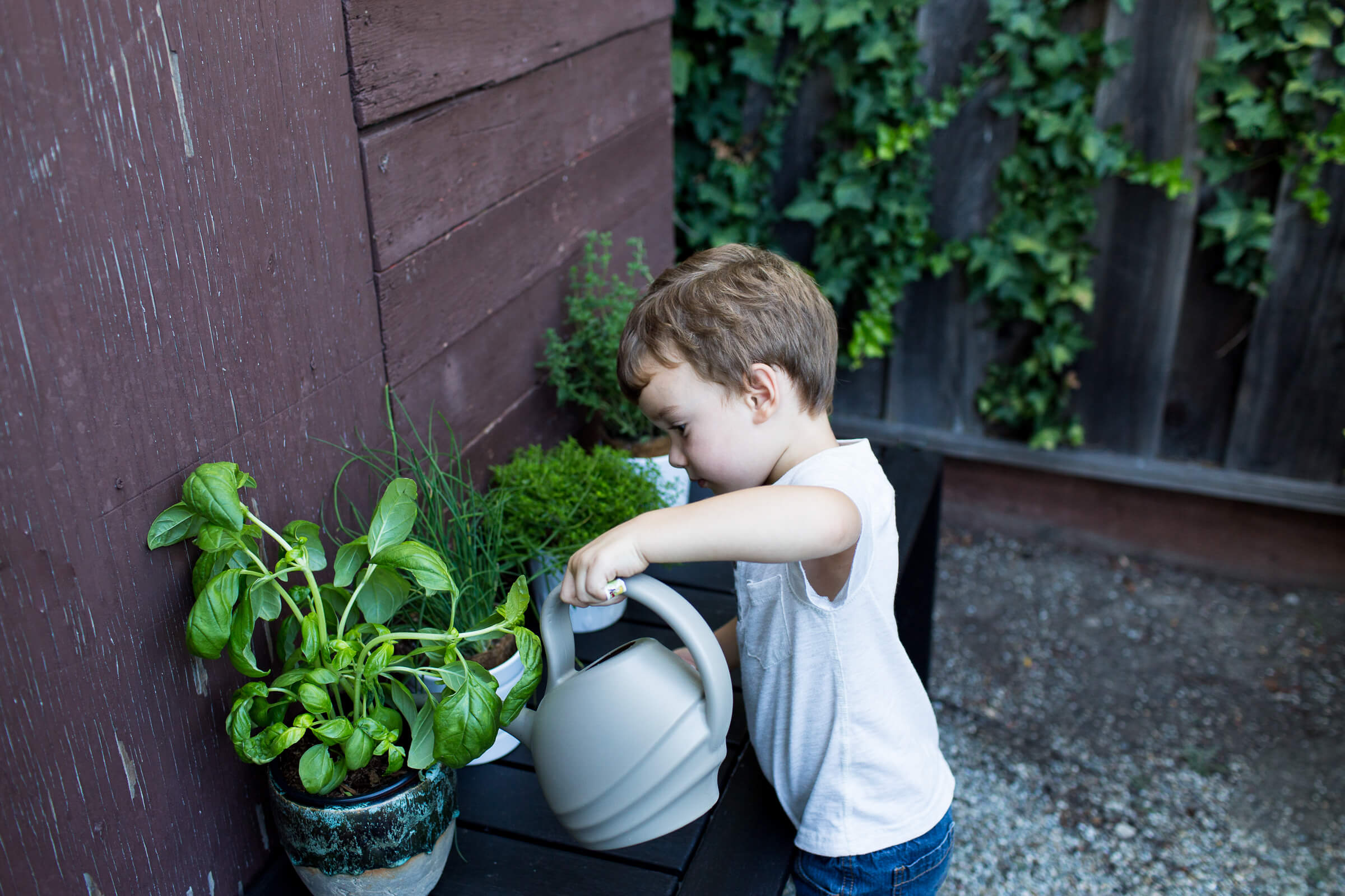 Teaching Sam to water the herbs in his Herb Garden, teaching children about food and herbs with Elise from The Curiosity Project, The Taste Edit