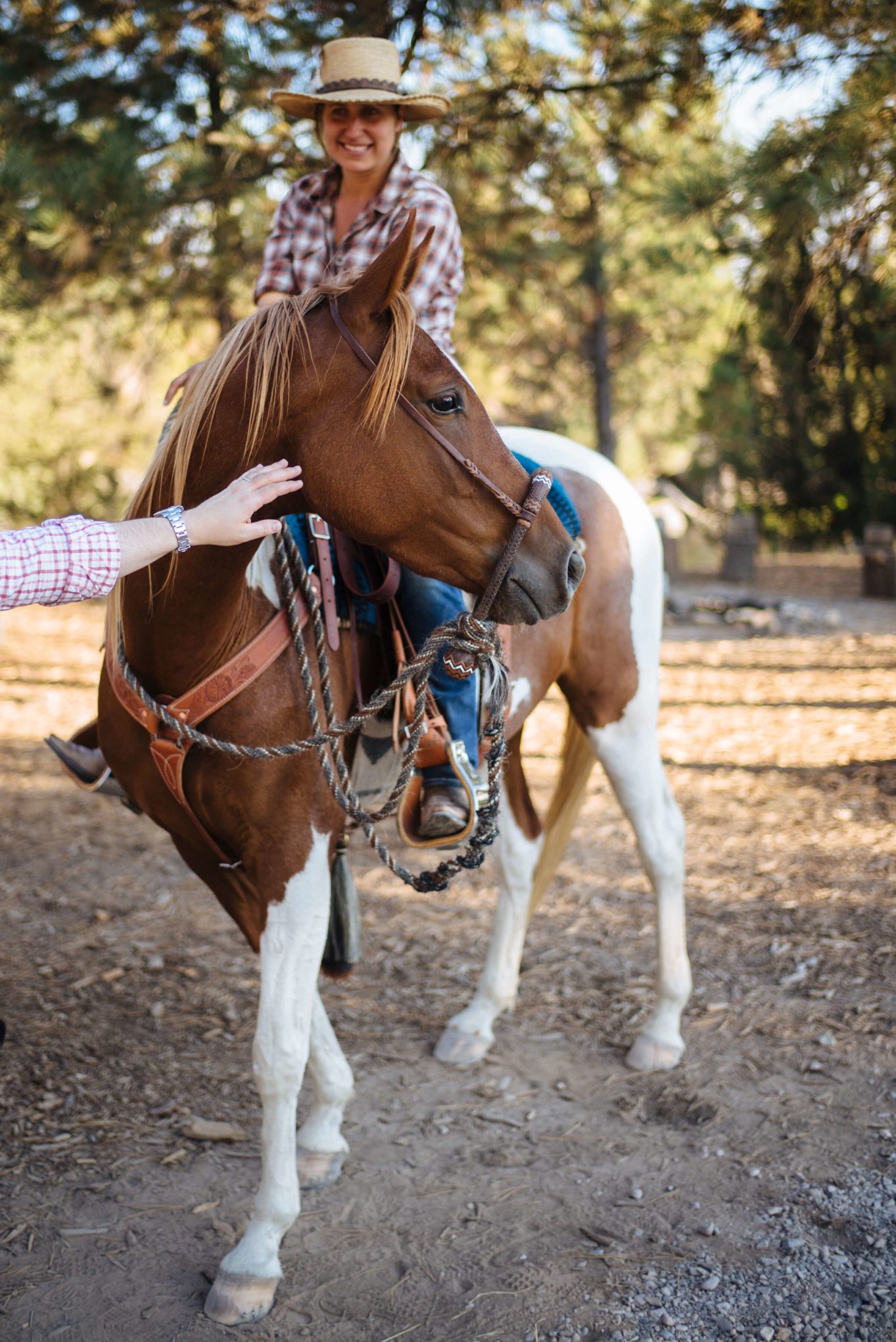 Horses at The Resort at Paws Up Chuck wagon diner, Take a ride in the Wagon, The Taste Edit