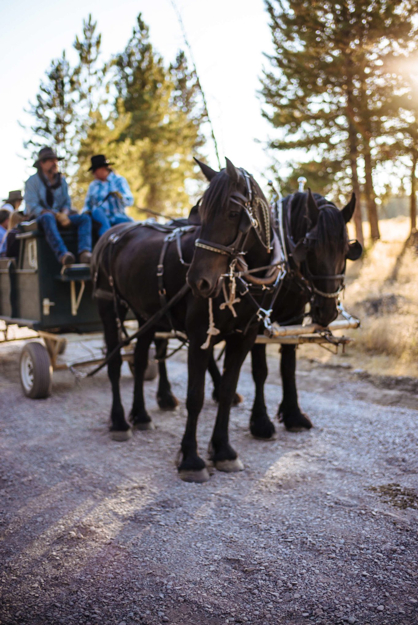 The Resort at Paws Up Chuck wagon diner, Take a ride in the Wagon, The Taste Edit