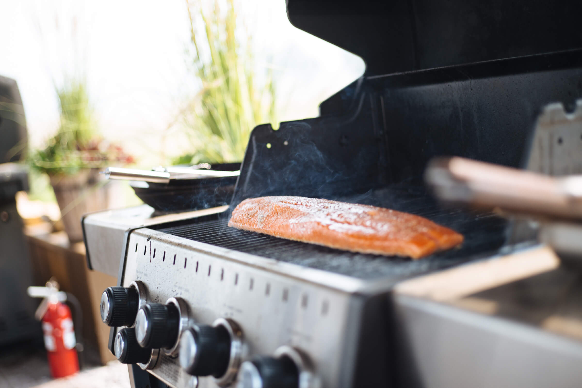 How to grill salmon with skin on a gas grill, how much time on the grill the resort at paws up, montana glamping, cookbook live, greg denton OX restaurant Portland, The Taste Edit