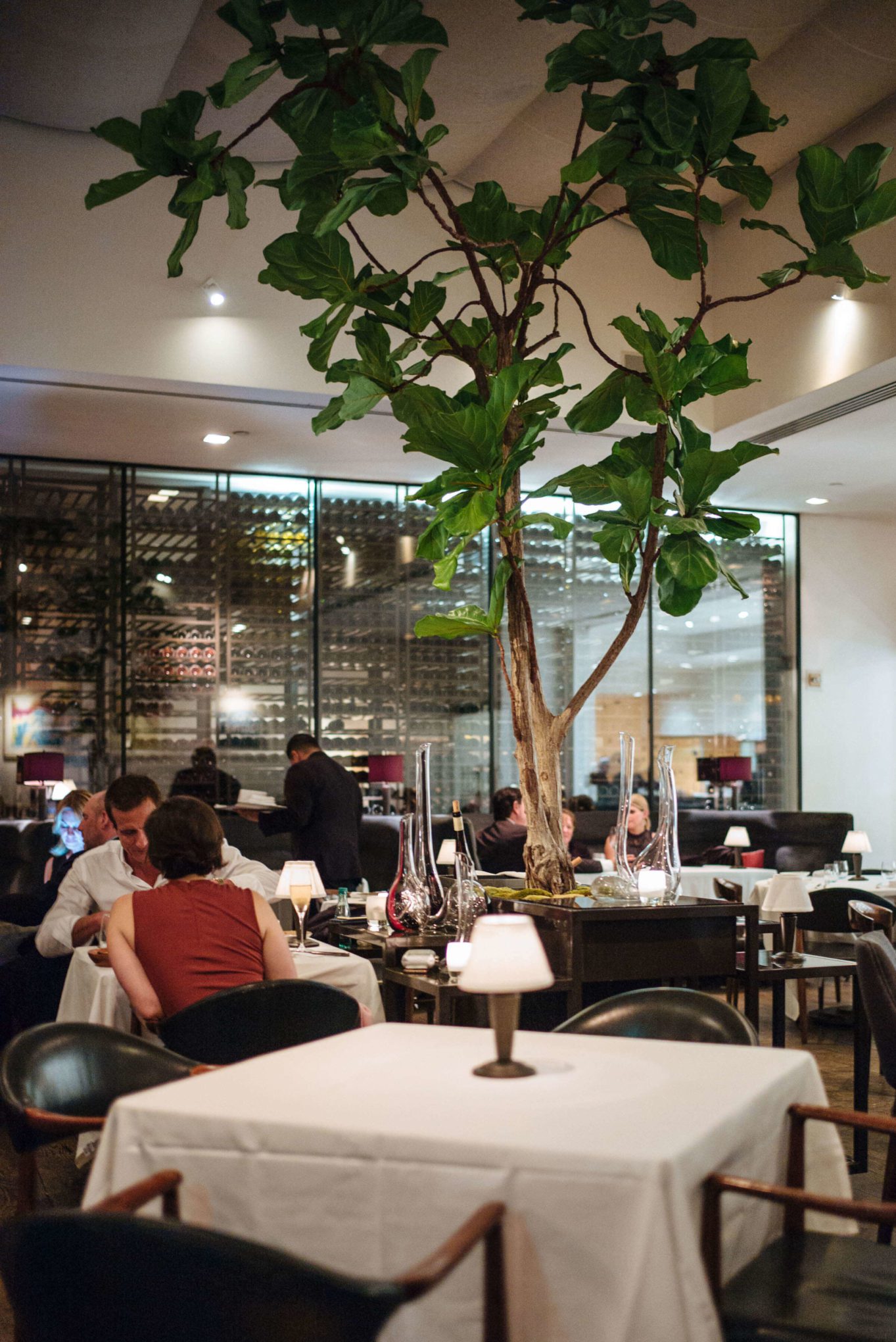 Dining room at Wolfgang Puck's best restaurant in Beverly Hills, LA, Spago Beverly Hills, Los Angeles, The Taste Edit