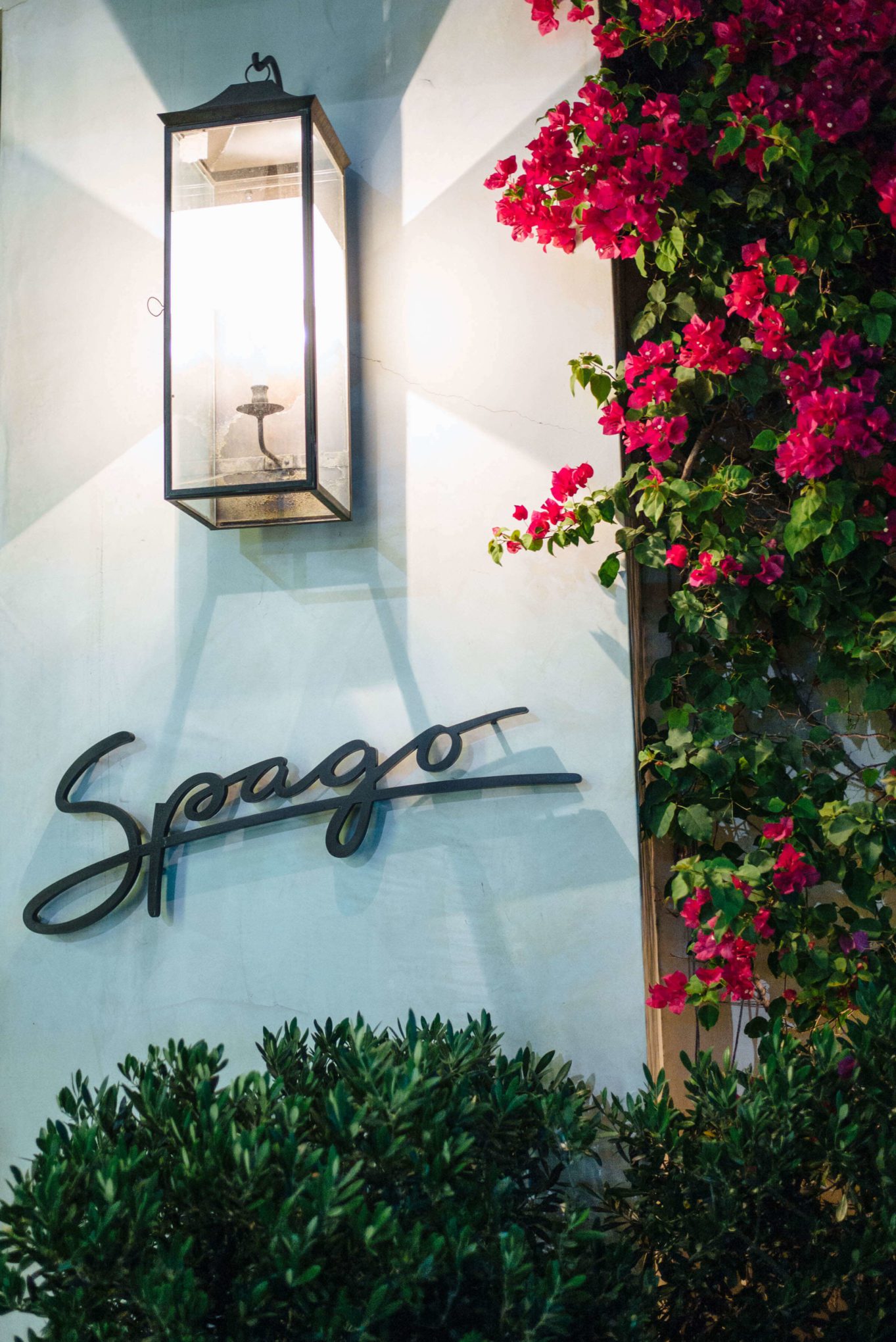 Wolfgang Puck's best restaurant in Beverly Hills, LA, Spago Beverly Hills, Los Angeles, The Taste Edit