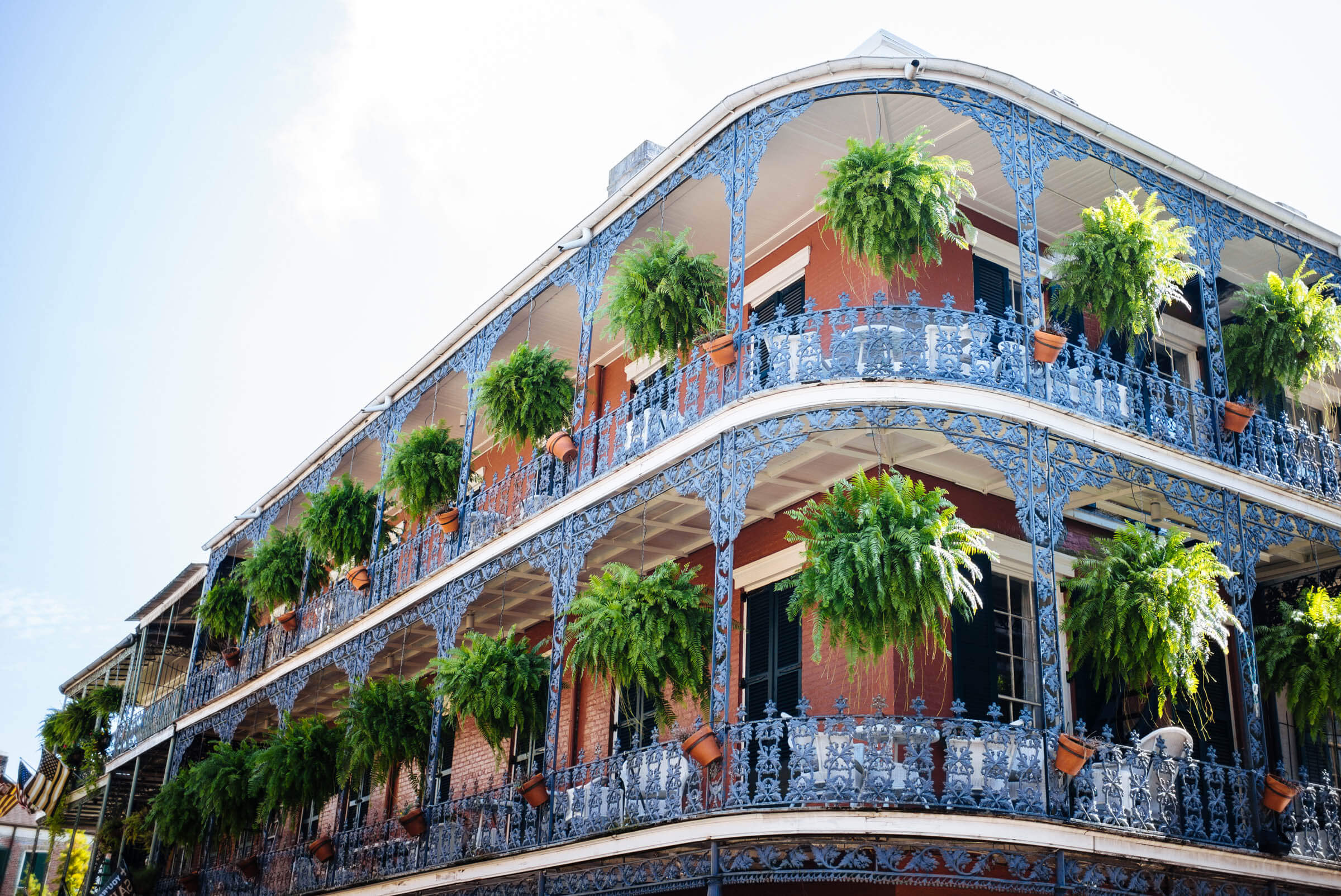 Guide to New Orleans French Quarter and Restaurant Guide where to eat the taste edit